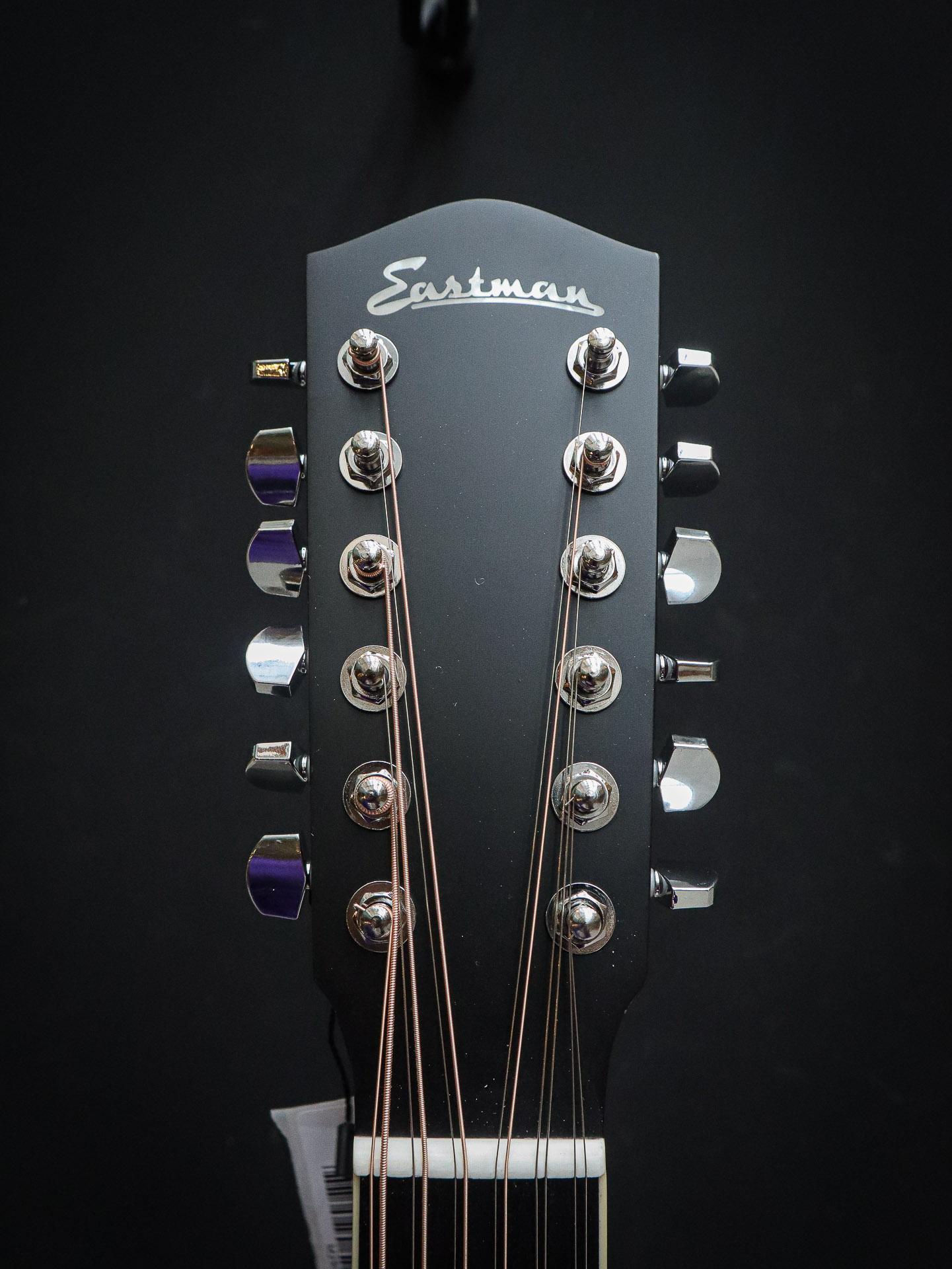 Eastman AC330CE-12 – Bild 10