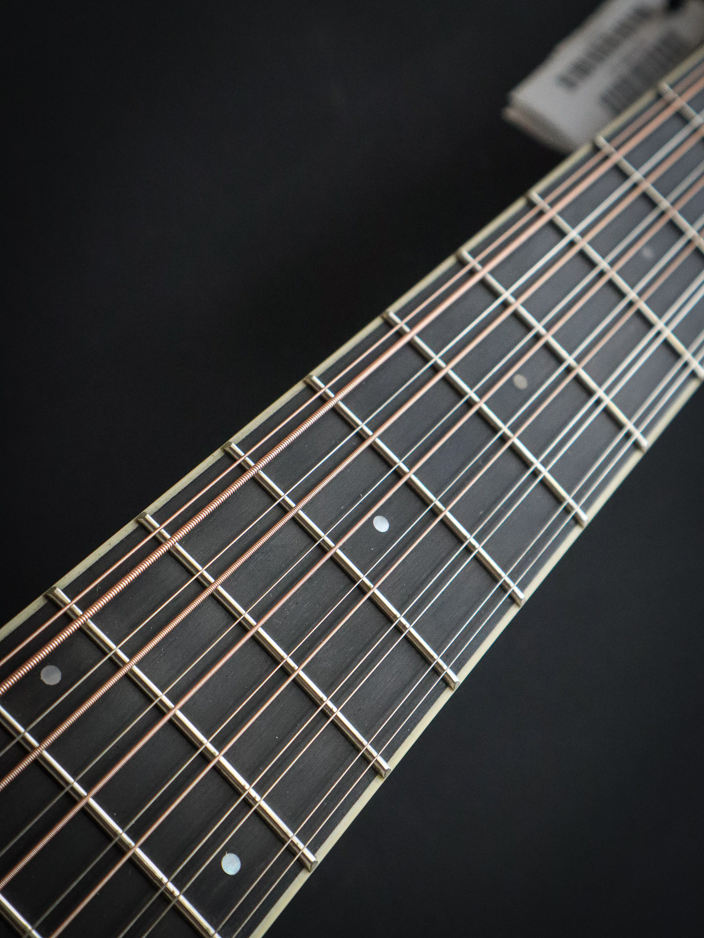 Eastman AC330CE-12 – Bild 9