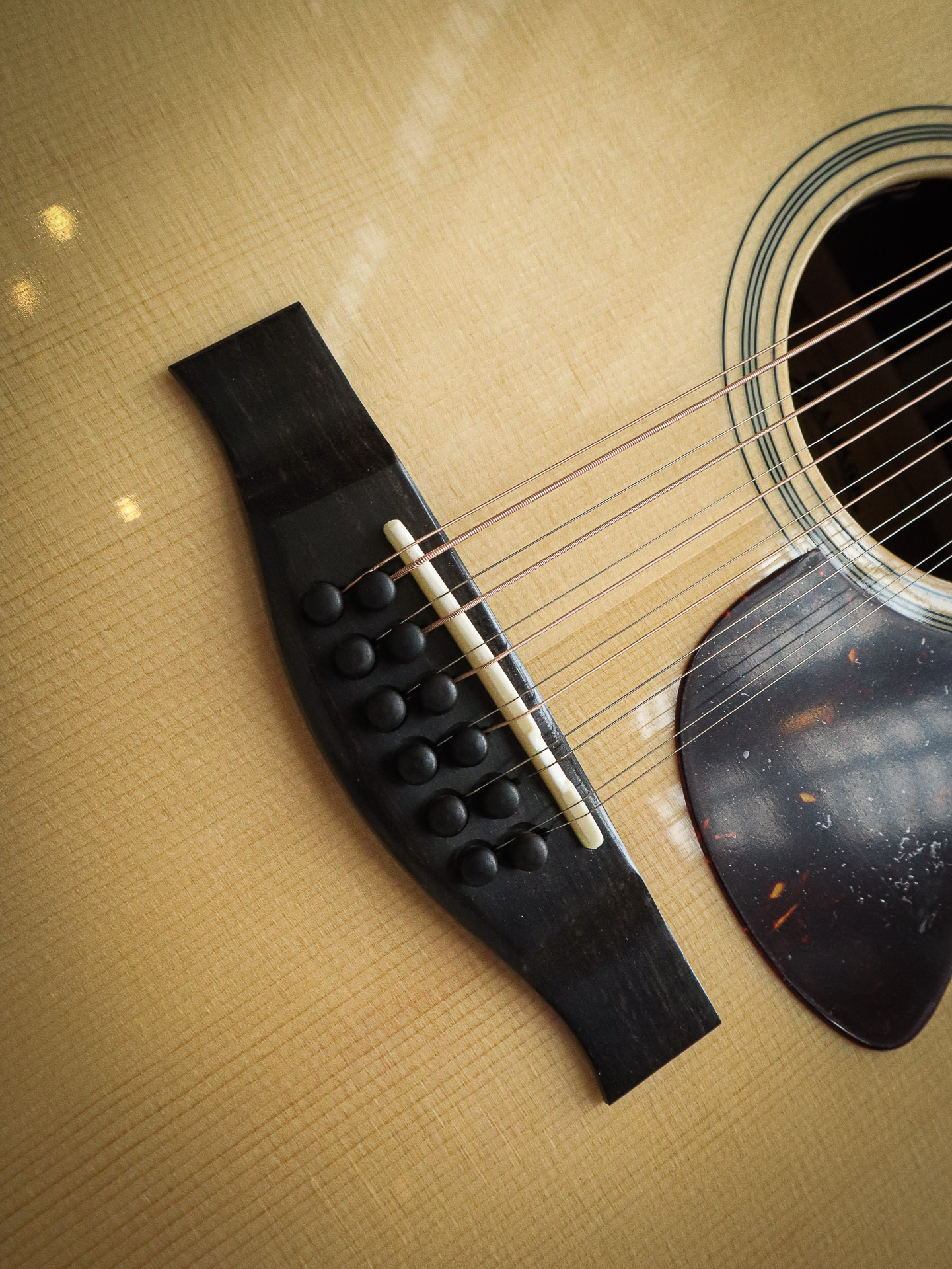 Eastman AC330CE-12 – Bild 8