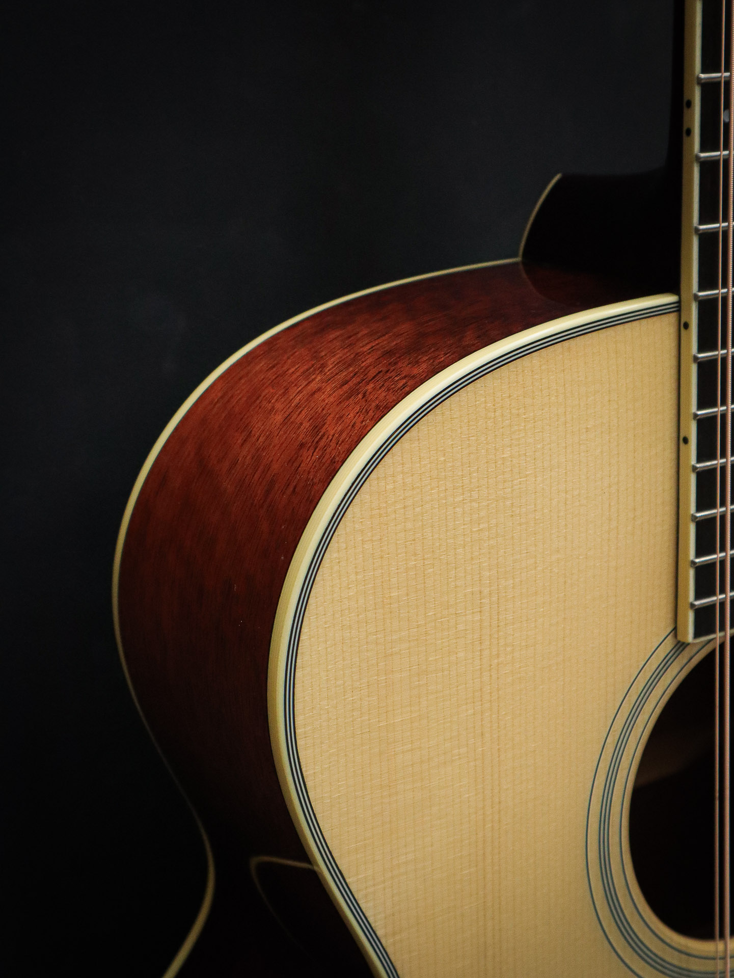 Eastman AC330CE-12 – Bild 5