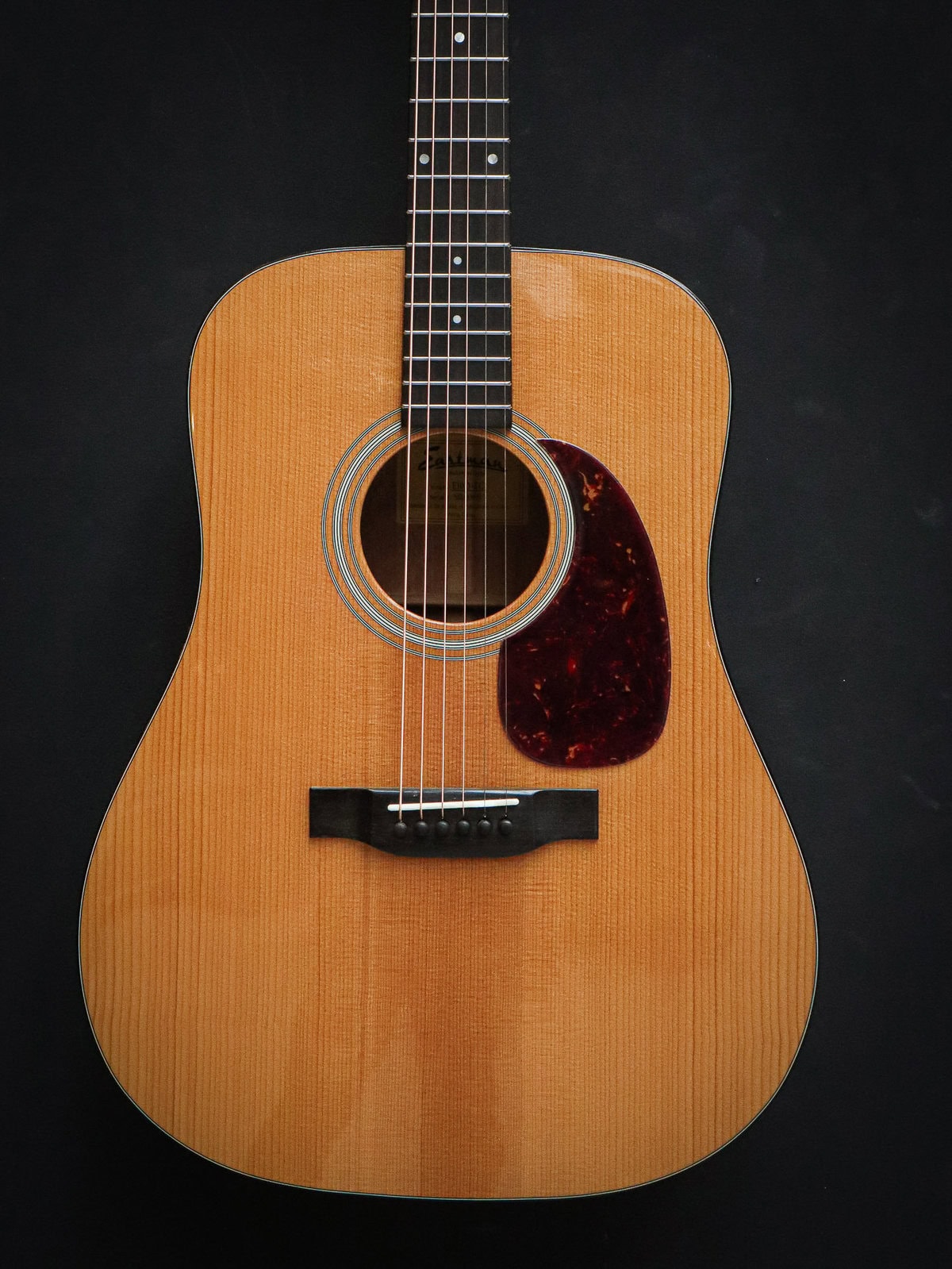 Eastman E10D Thermo-Cure – Bild 3