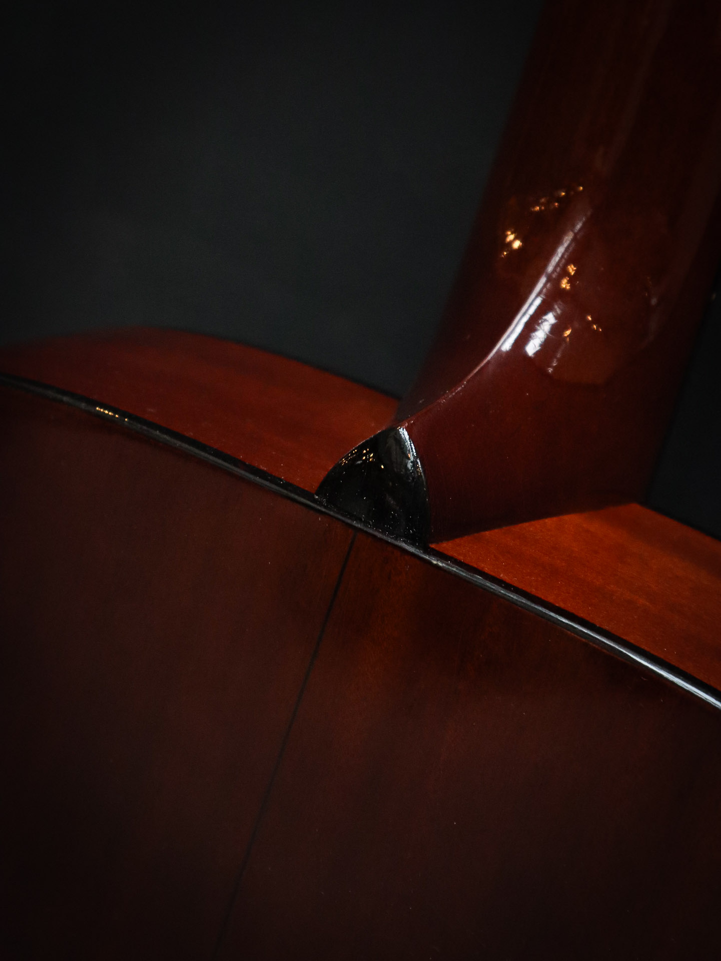 Atkin Essential OM – Bild 16