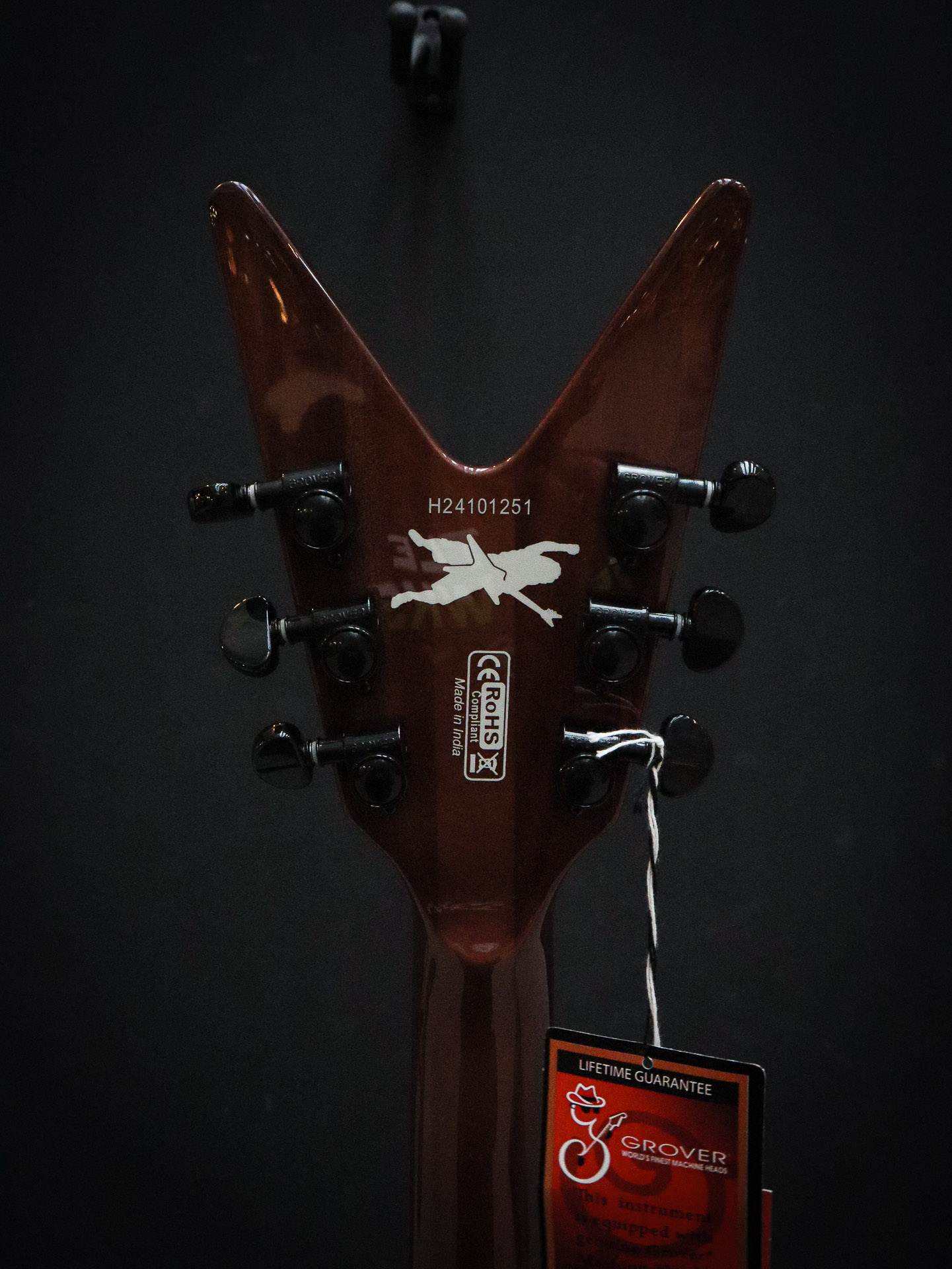 Dean Dimebag ML Far Beyond Driven + case – Bild 13