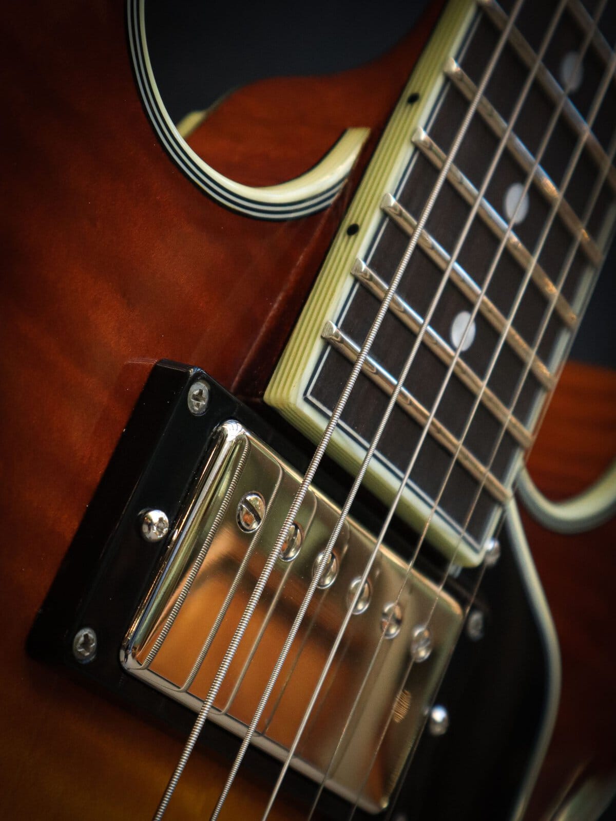 Eastman T484 Goldburst – Bild 7