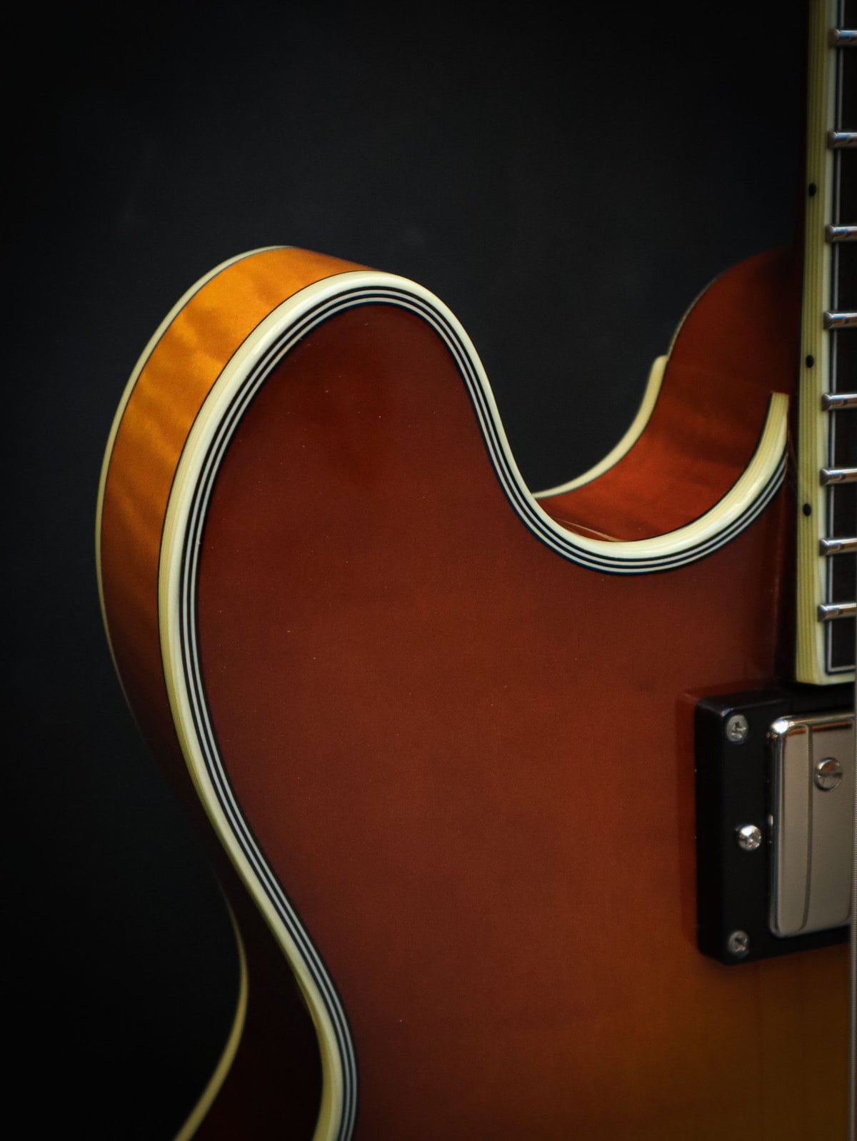 Eastman T484 Goldburst – Bild 5