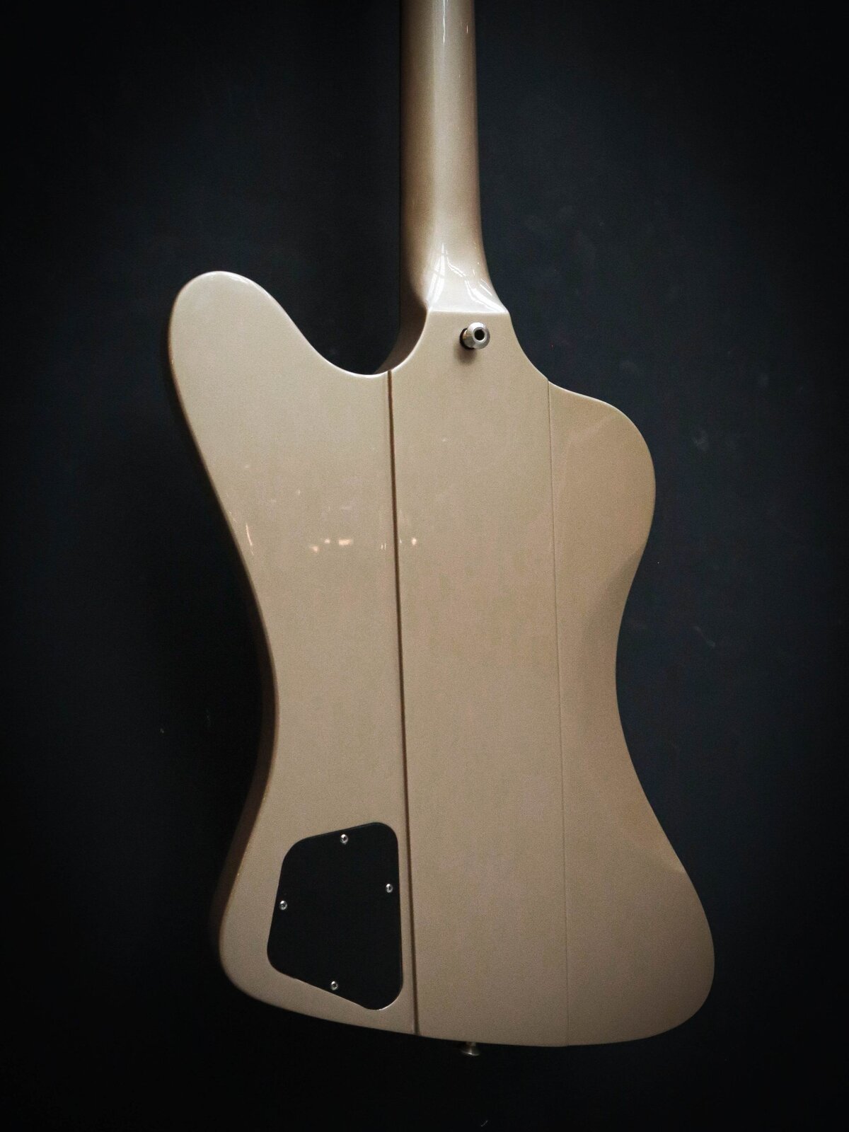 Epiphone Joe Bonamassa Signature "Treasure" Firebird I Pre-Owned – Bild 12