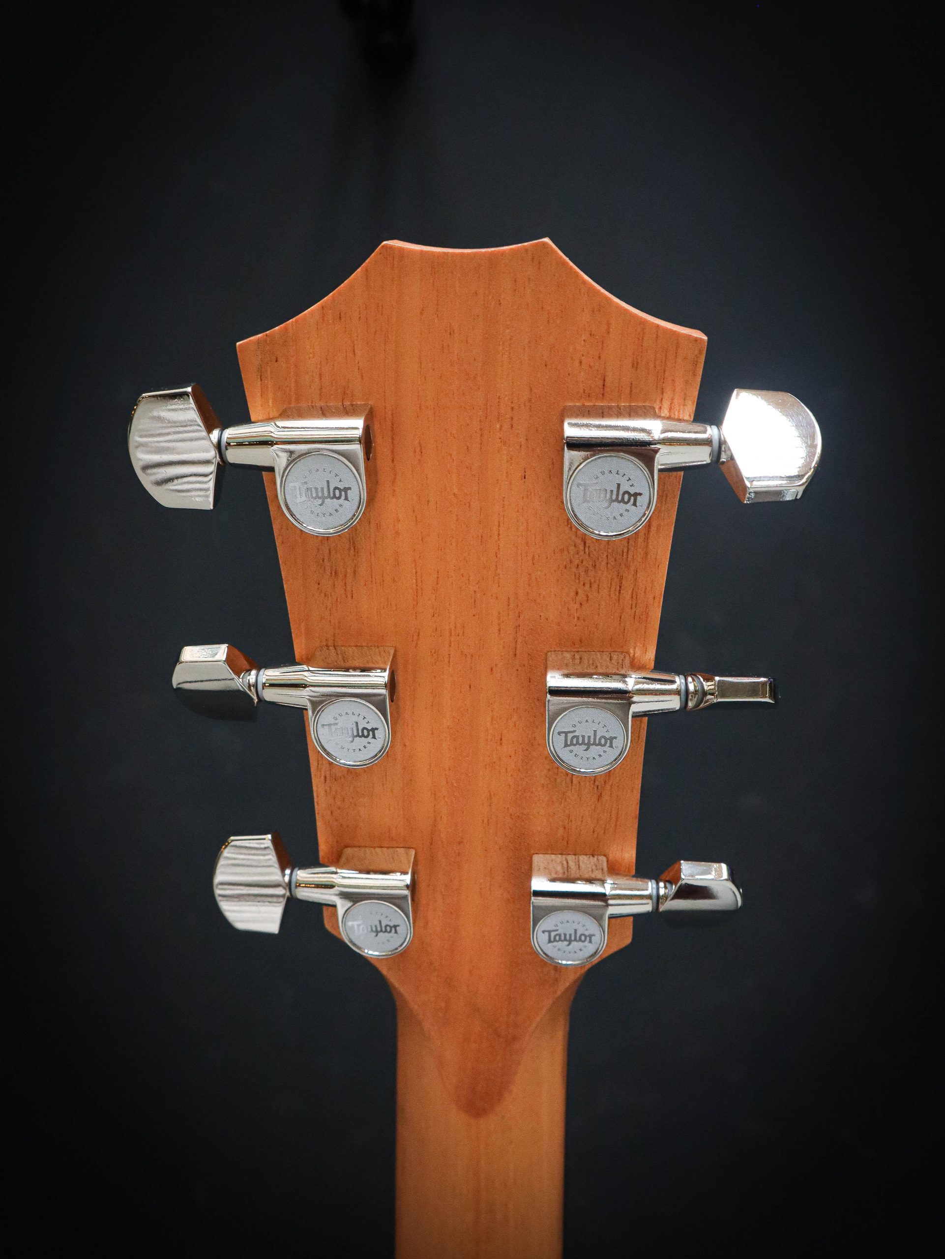 Taylor 210ce Plus – Bild 10