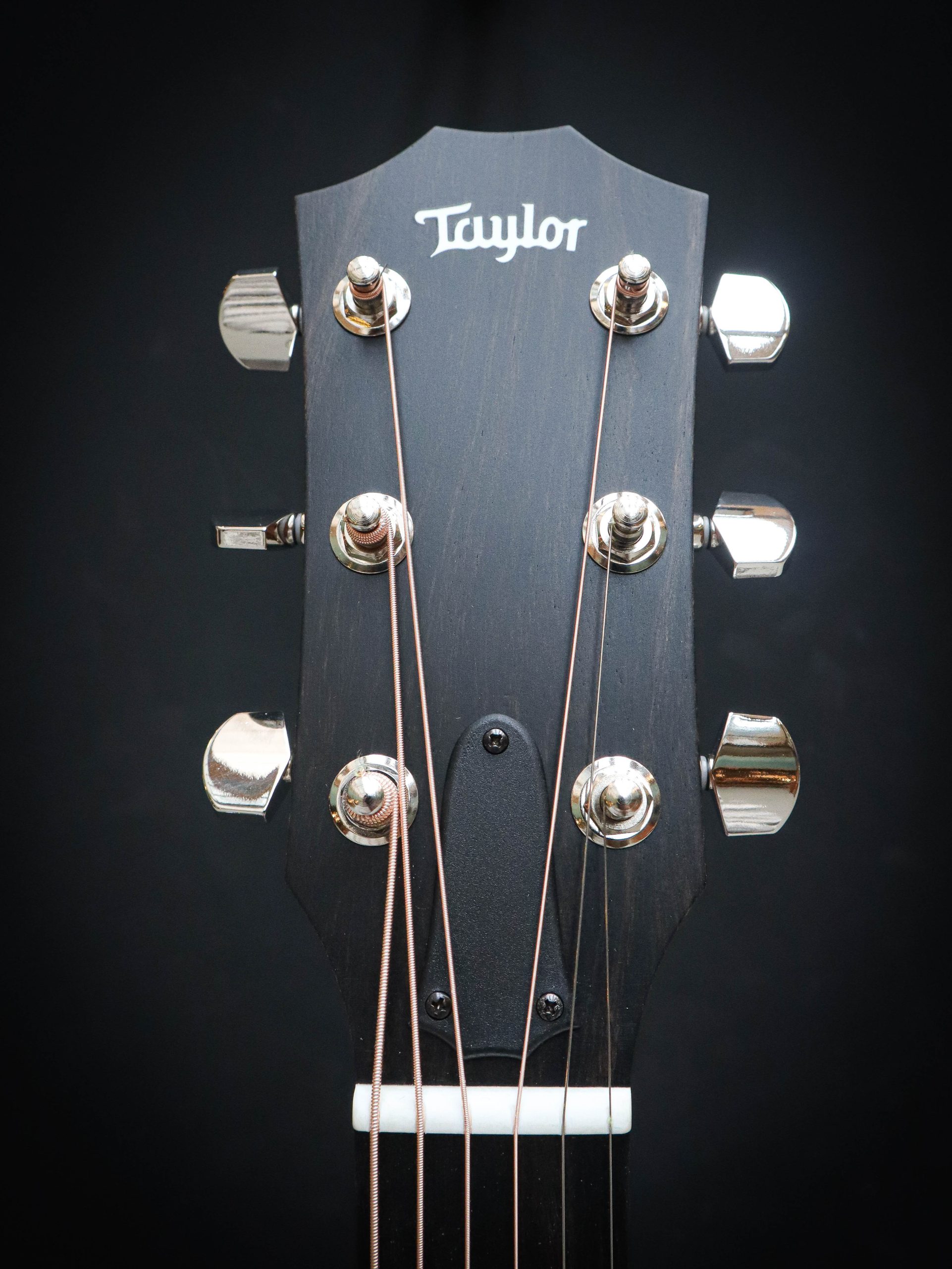 Taylor 210ce Plus – Bild 9