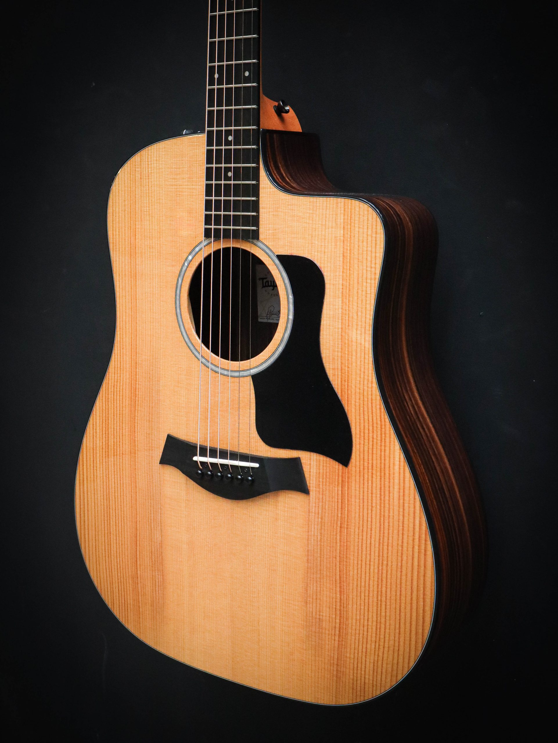 Taylor 210ce Plus – Bild 8