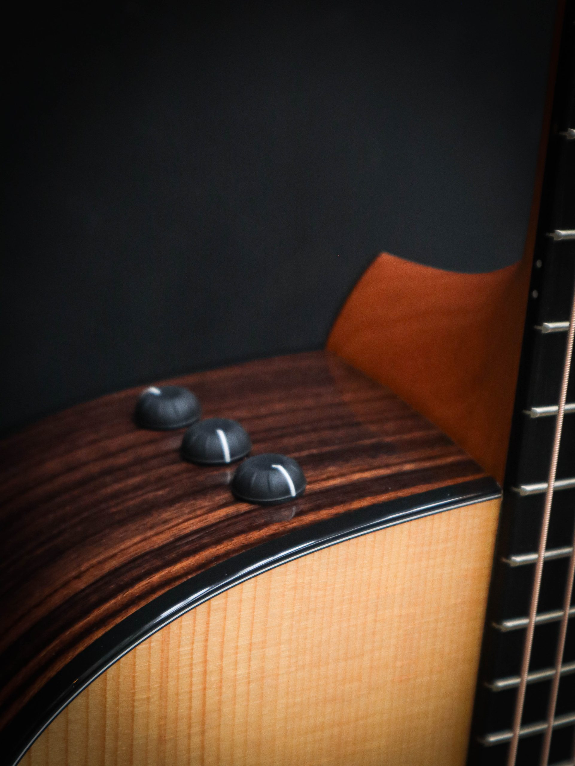 Taylor 210ce Plus – Bild 5