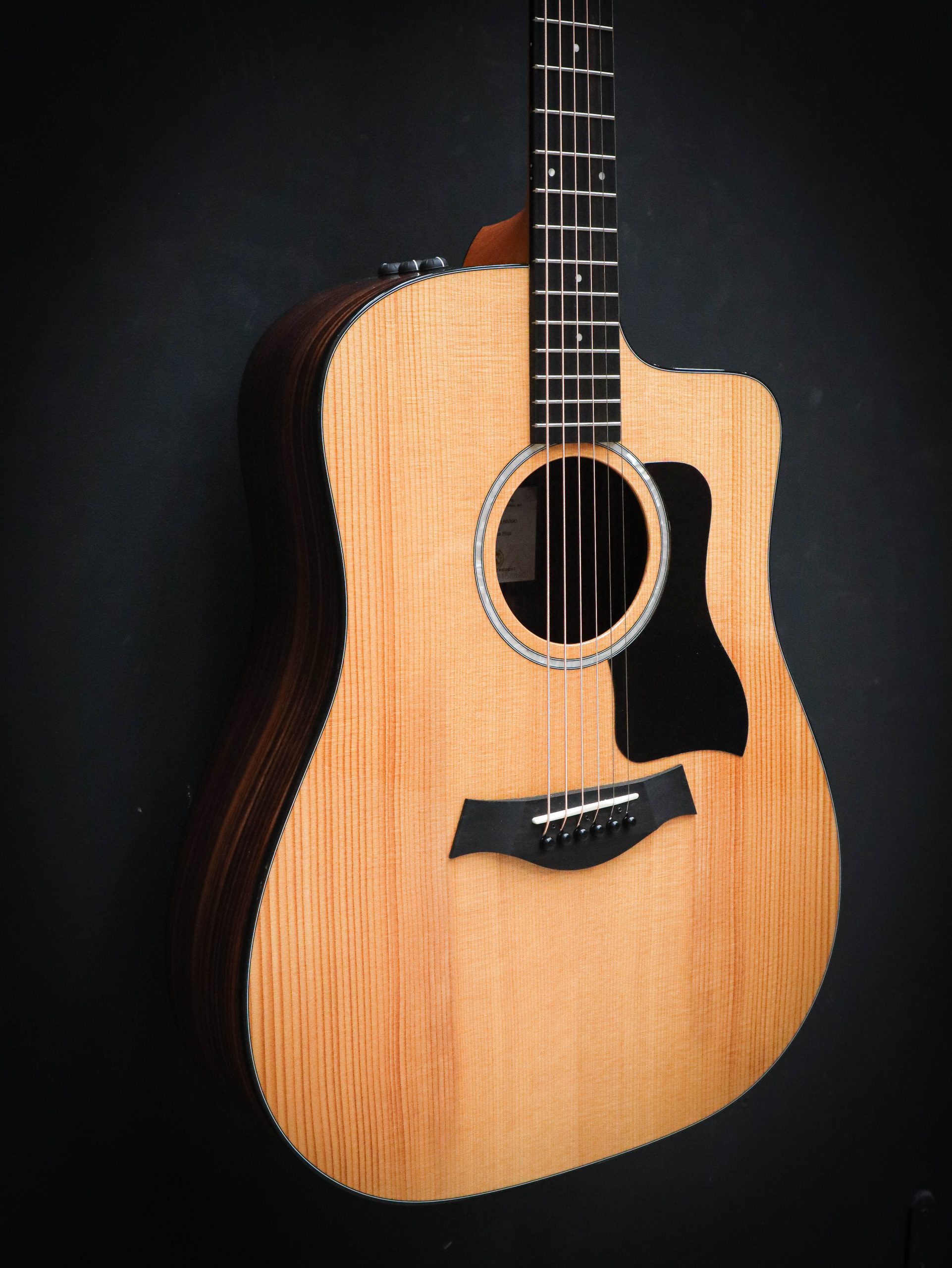 Taylor 210ce Plus – Bild 4