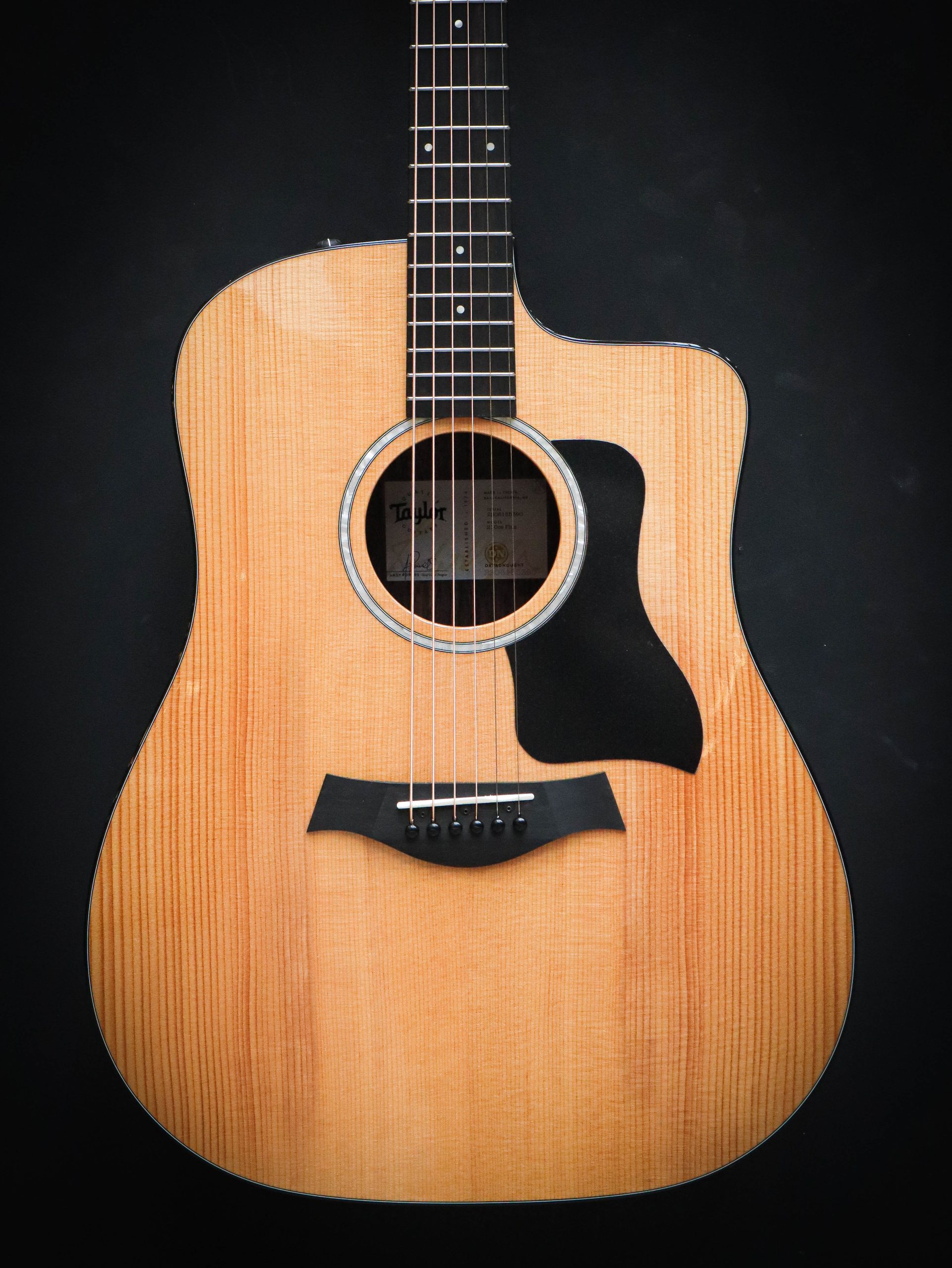 Taylor 210ce Plus – Bild 3
