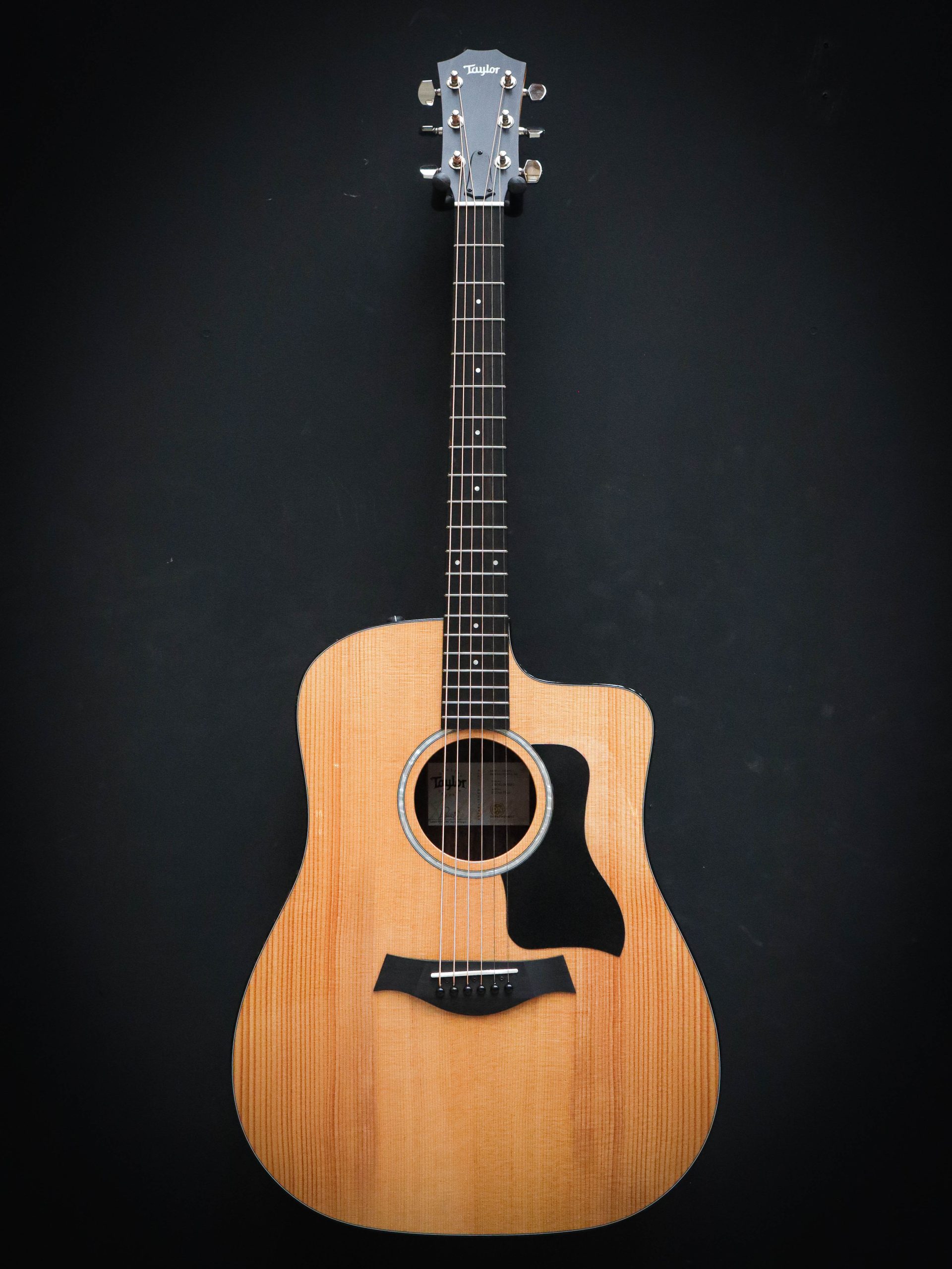 Taylor 210ce Plus – Bild 2