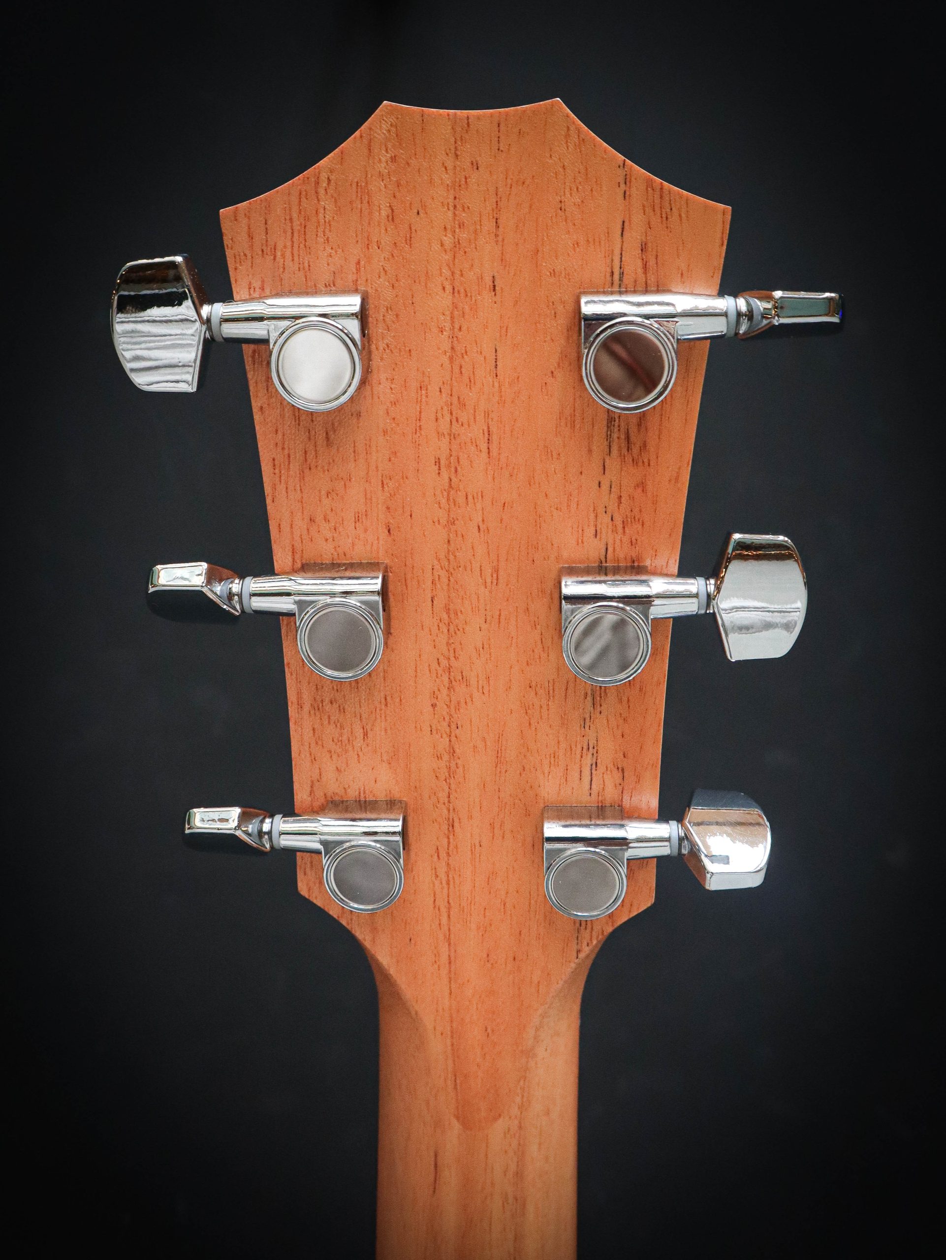 Taylor 214ce – Bild 10