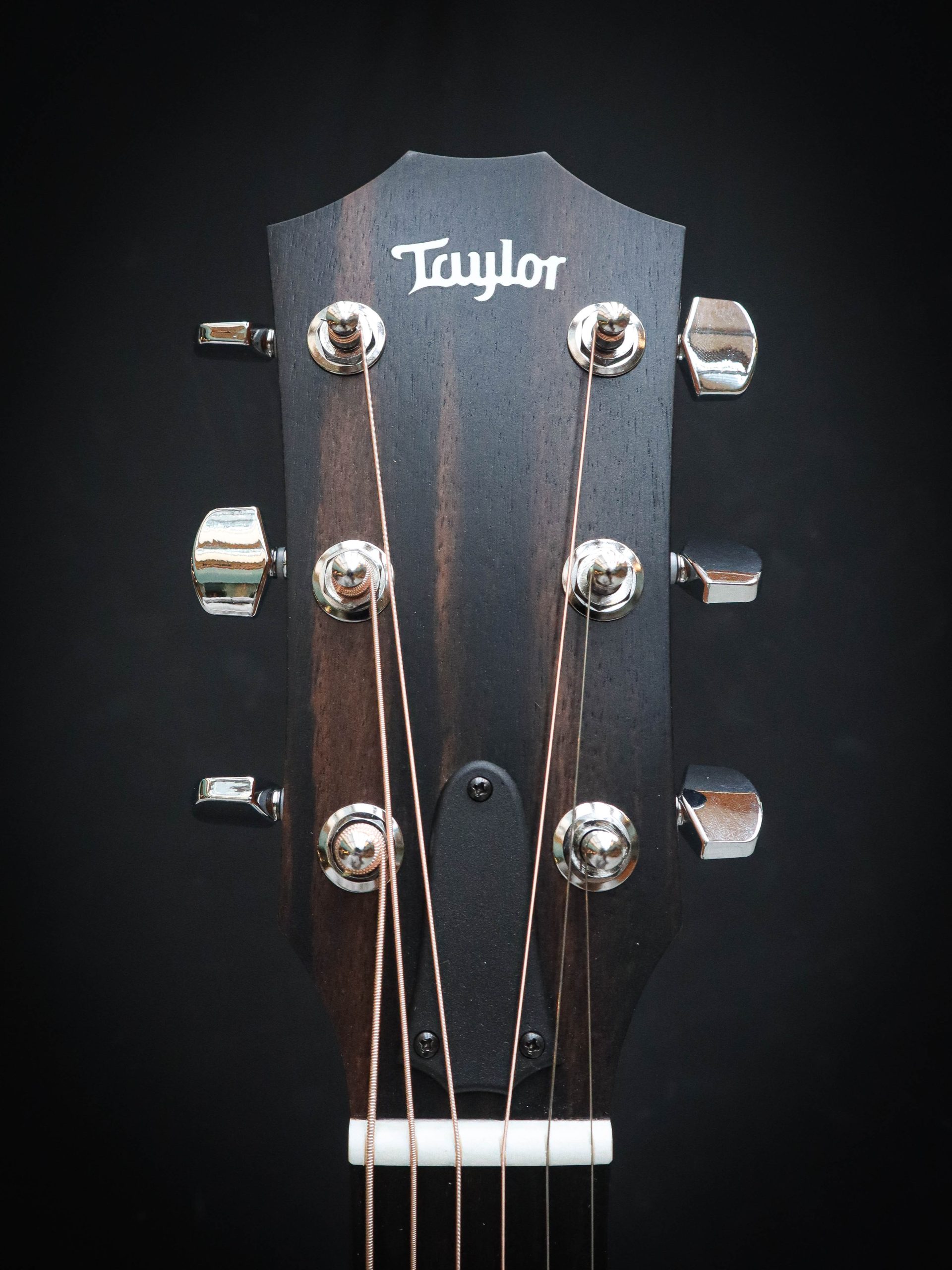 Taylor 214ce – Bild 9