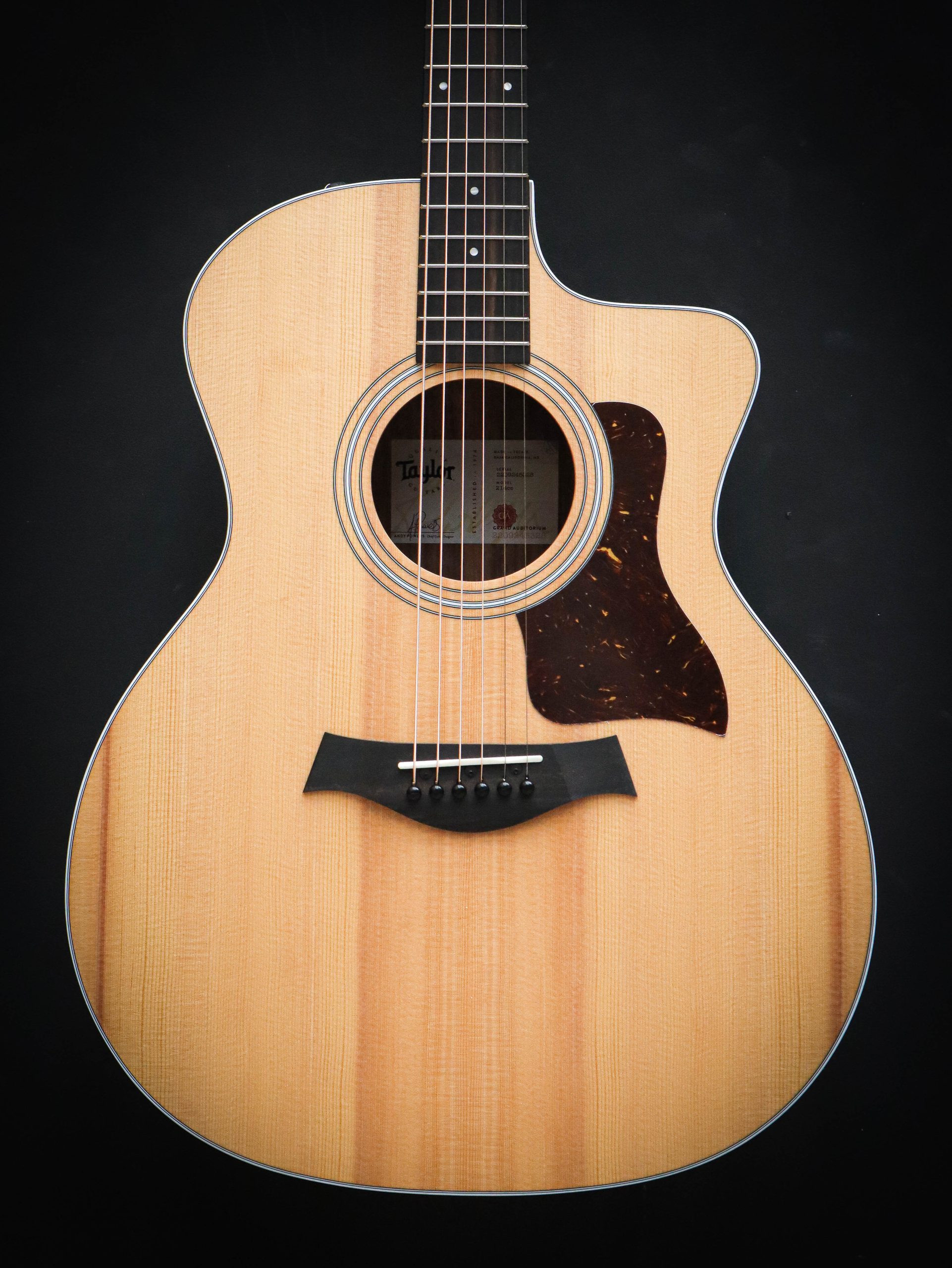 Taylor 214ce – Bild 3