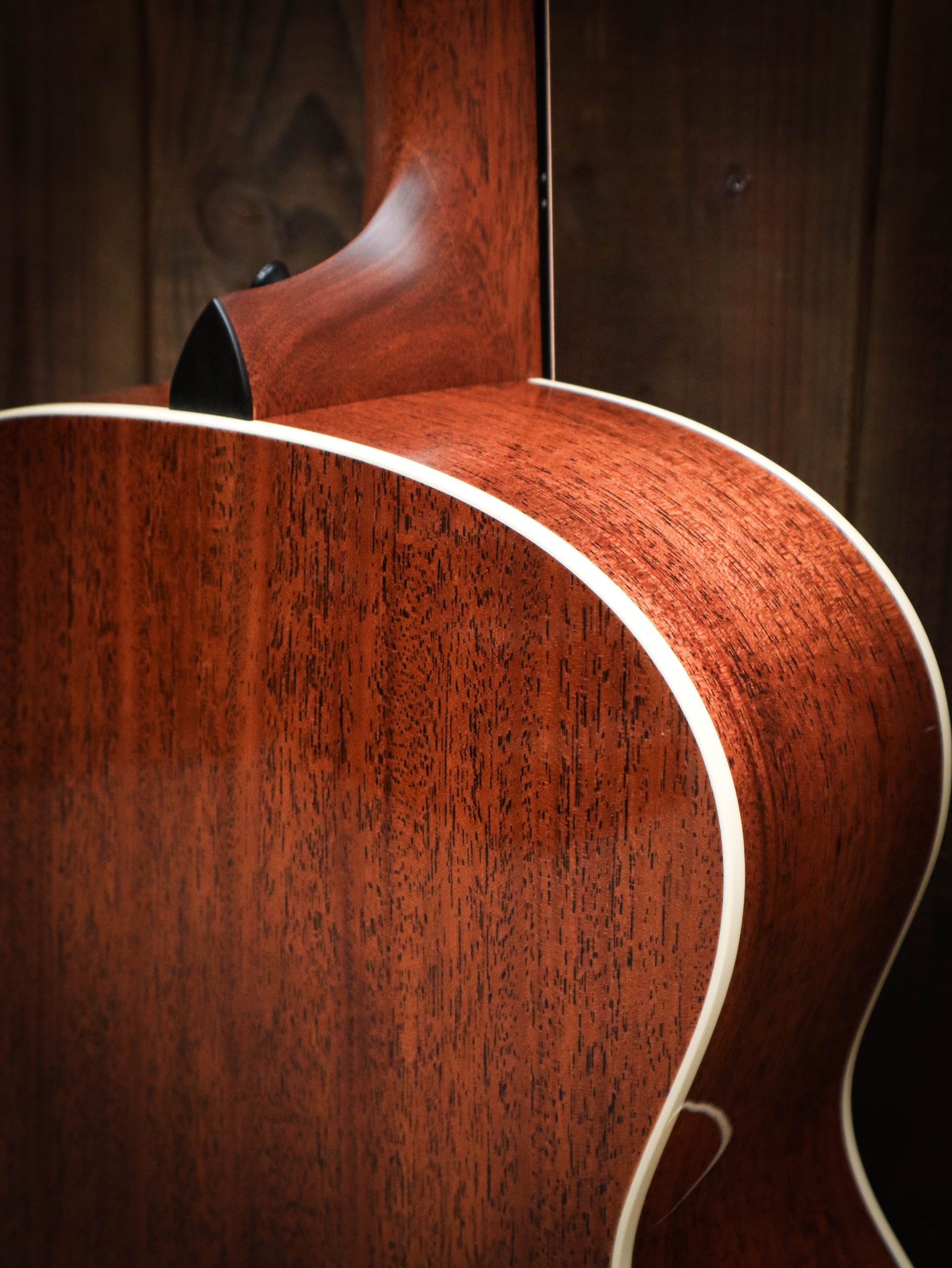 Taylor Gold Label 514e Blacktop – Bild 14