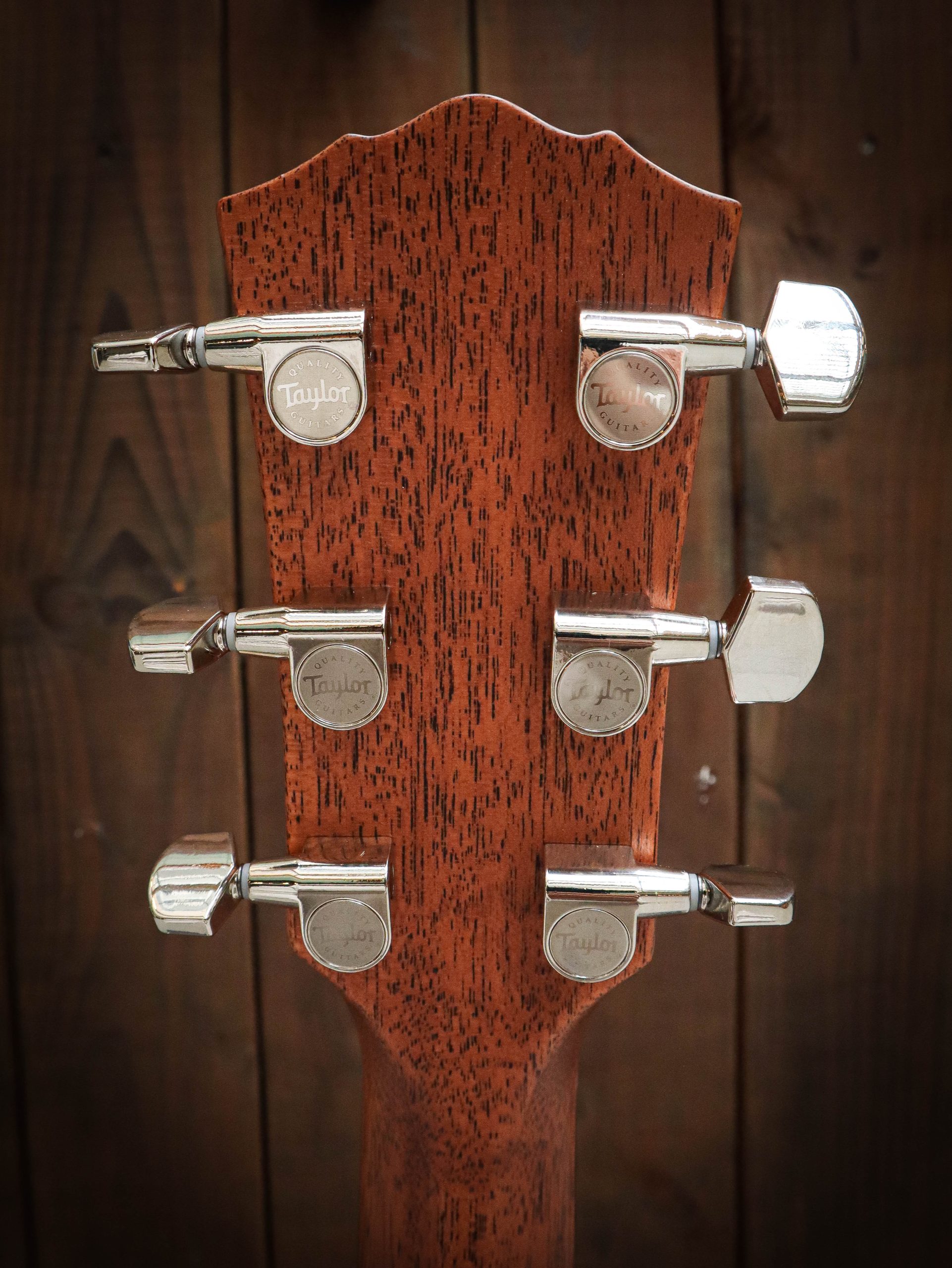 Taylor Gold Label 514e Blacktop – Bild 11