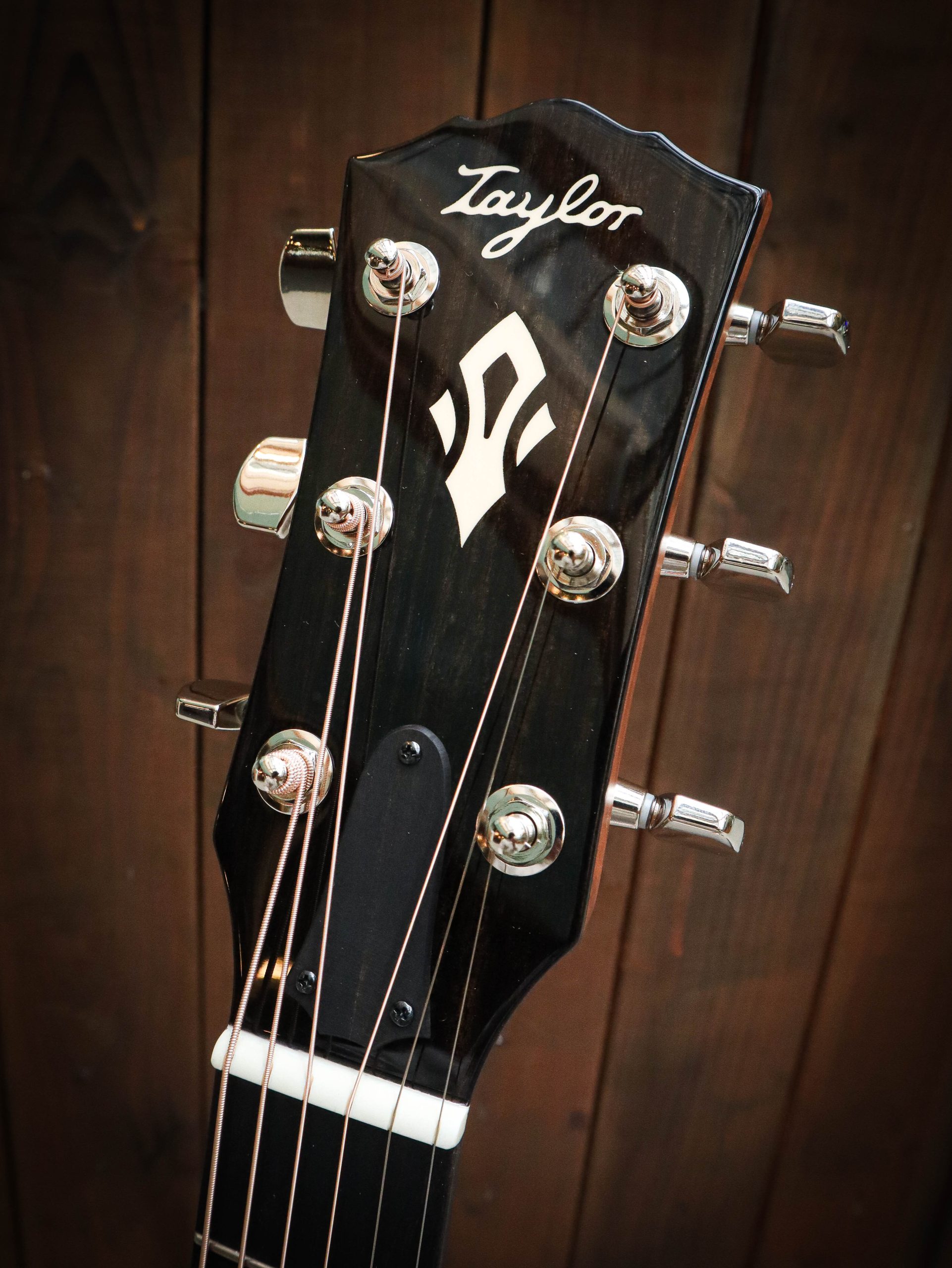 Taylor Gold Label 514e Blacktop – Bild 10