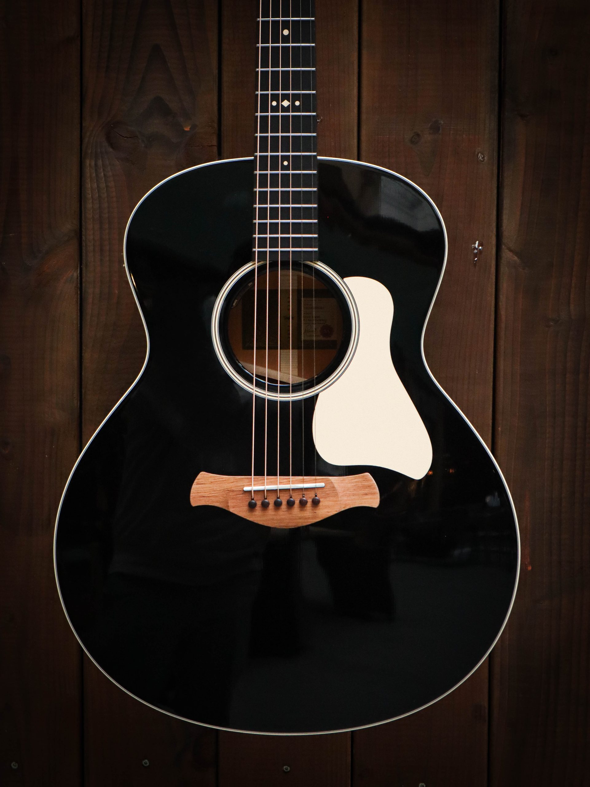 Taylor Gold Label 514e Blacktop – Bild 3