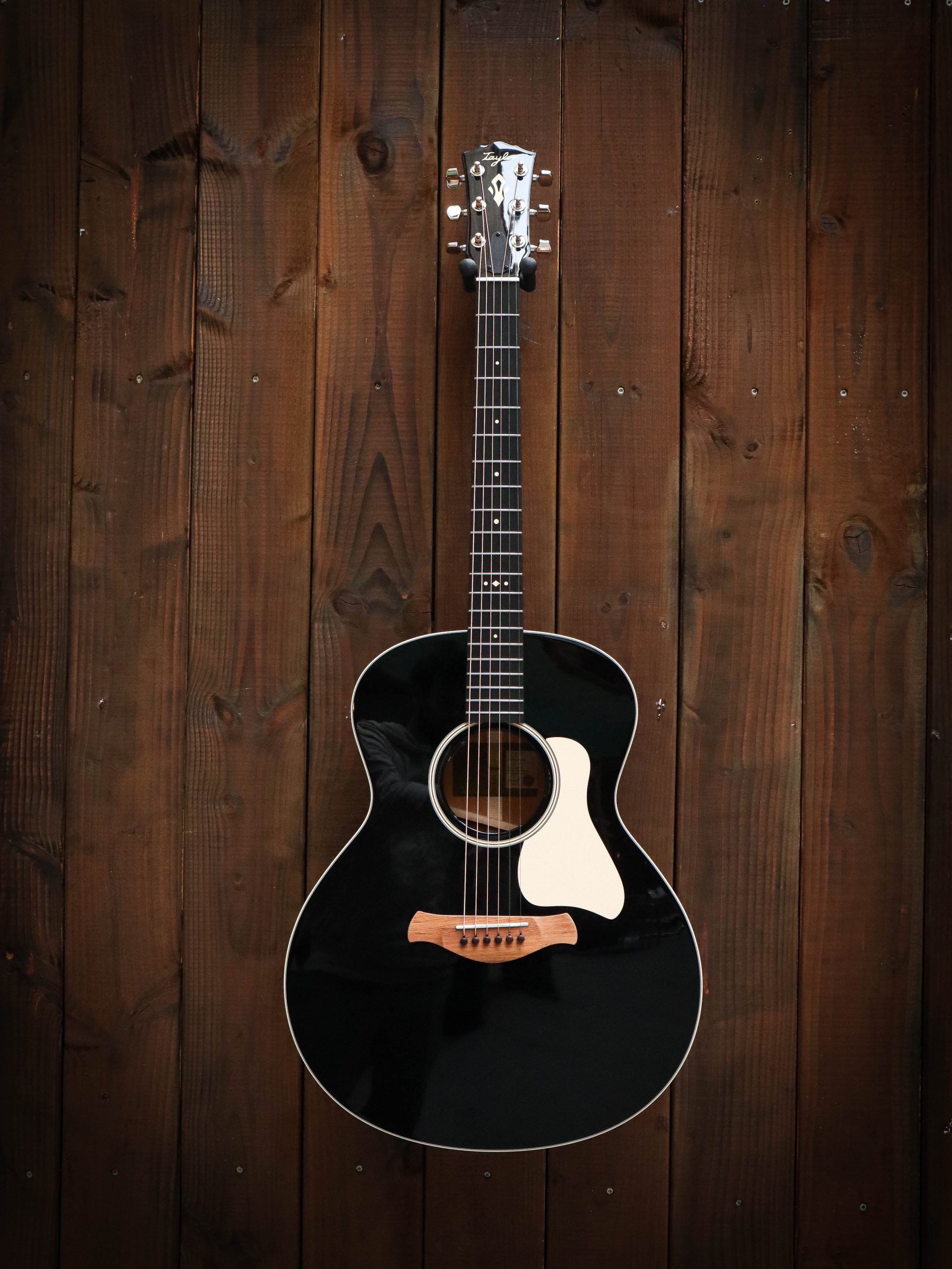 Taylor Gold Label 514e Blacktop – Bild 2