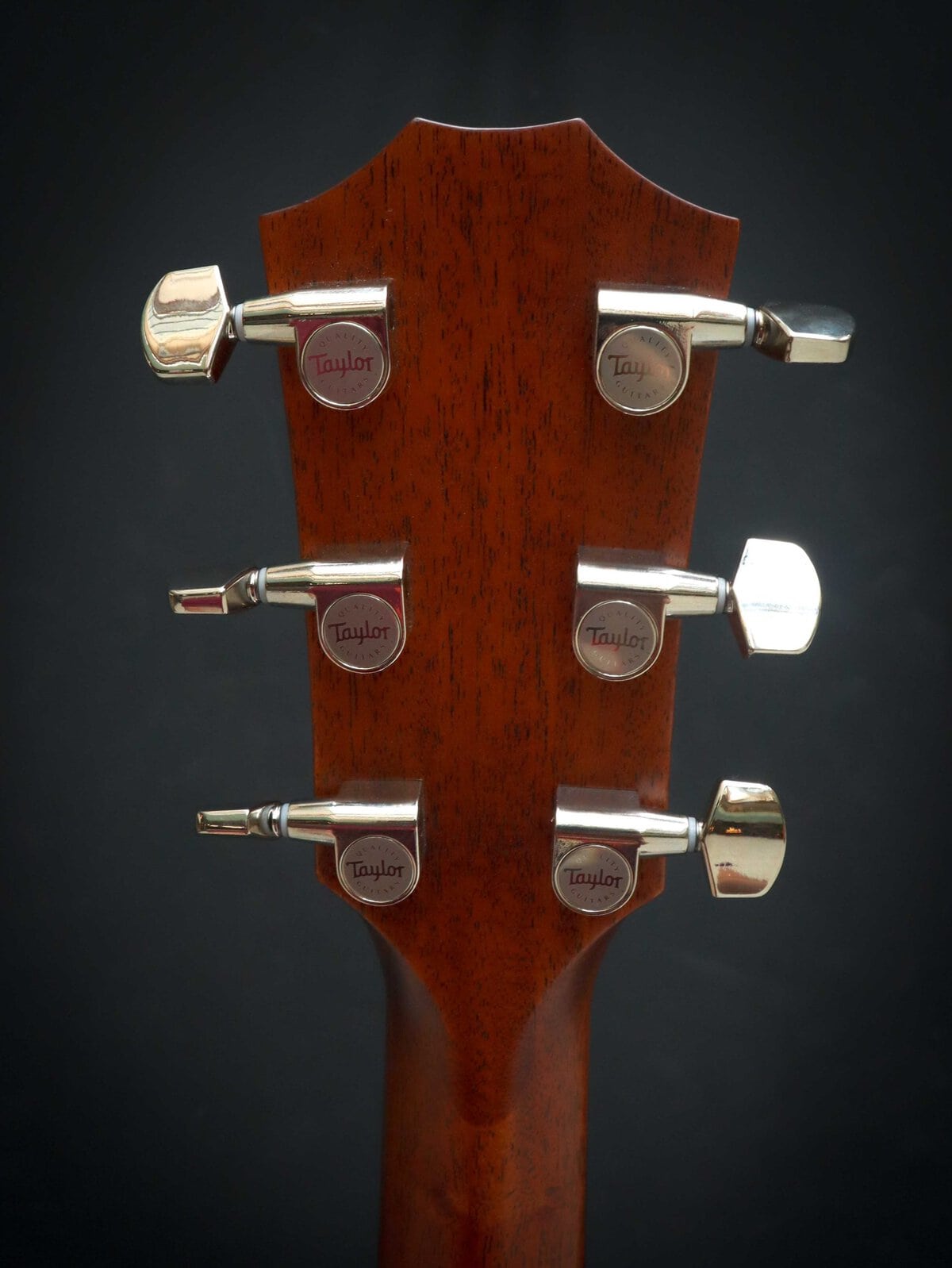 Taylor 314ce Next Generation – Bild 11