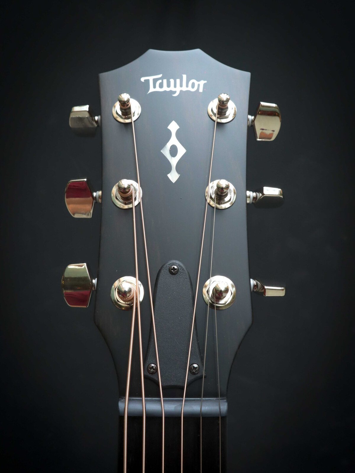 Taylor 314ce Next Generation – Bild 10