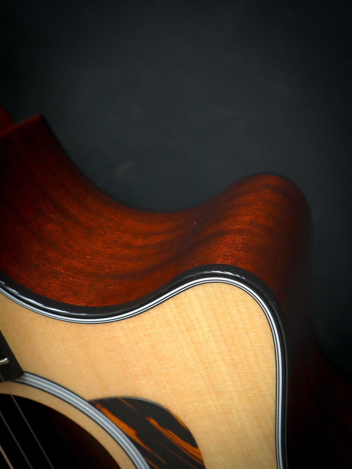 Taylor 314ce Next Generation – Bild 9