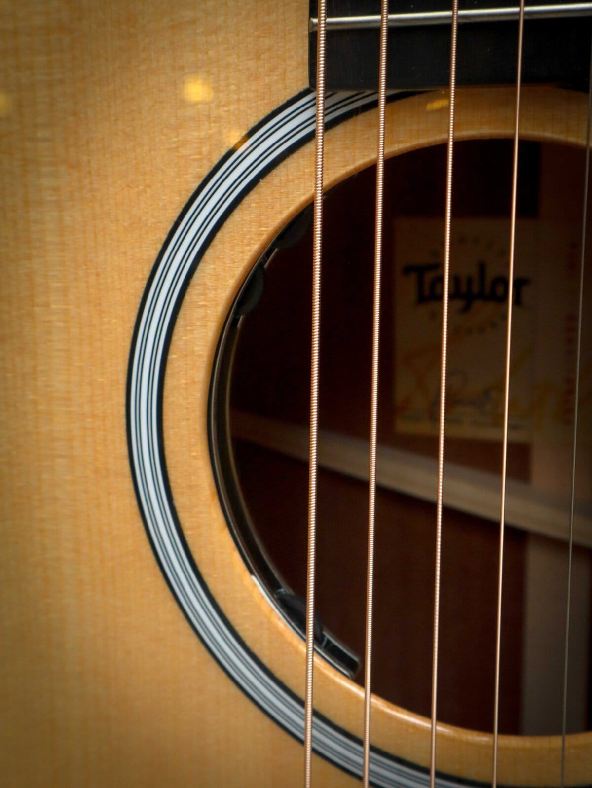 Taylor 314ce Next Generation – Bild 7