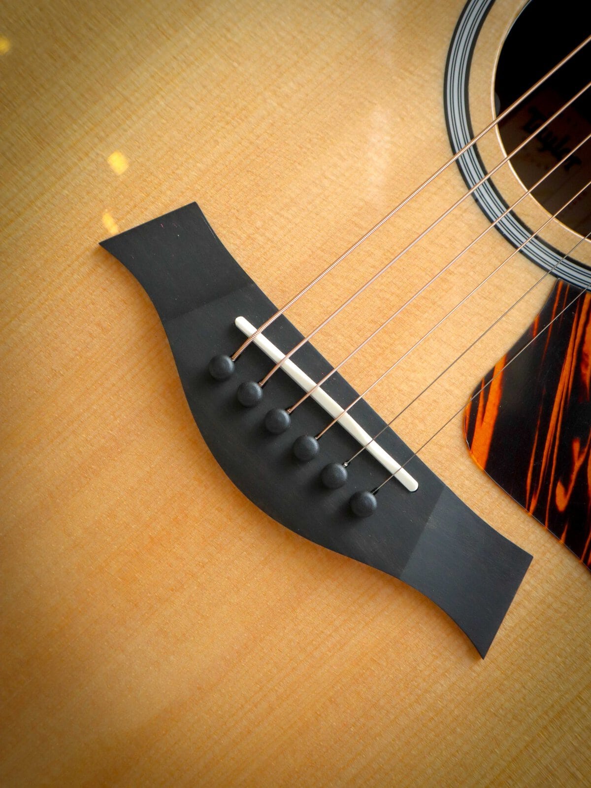 Taylor 314ce Next Generation – Bild 6