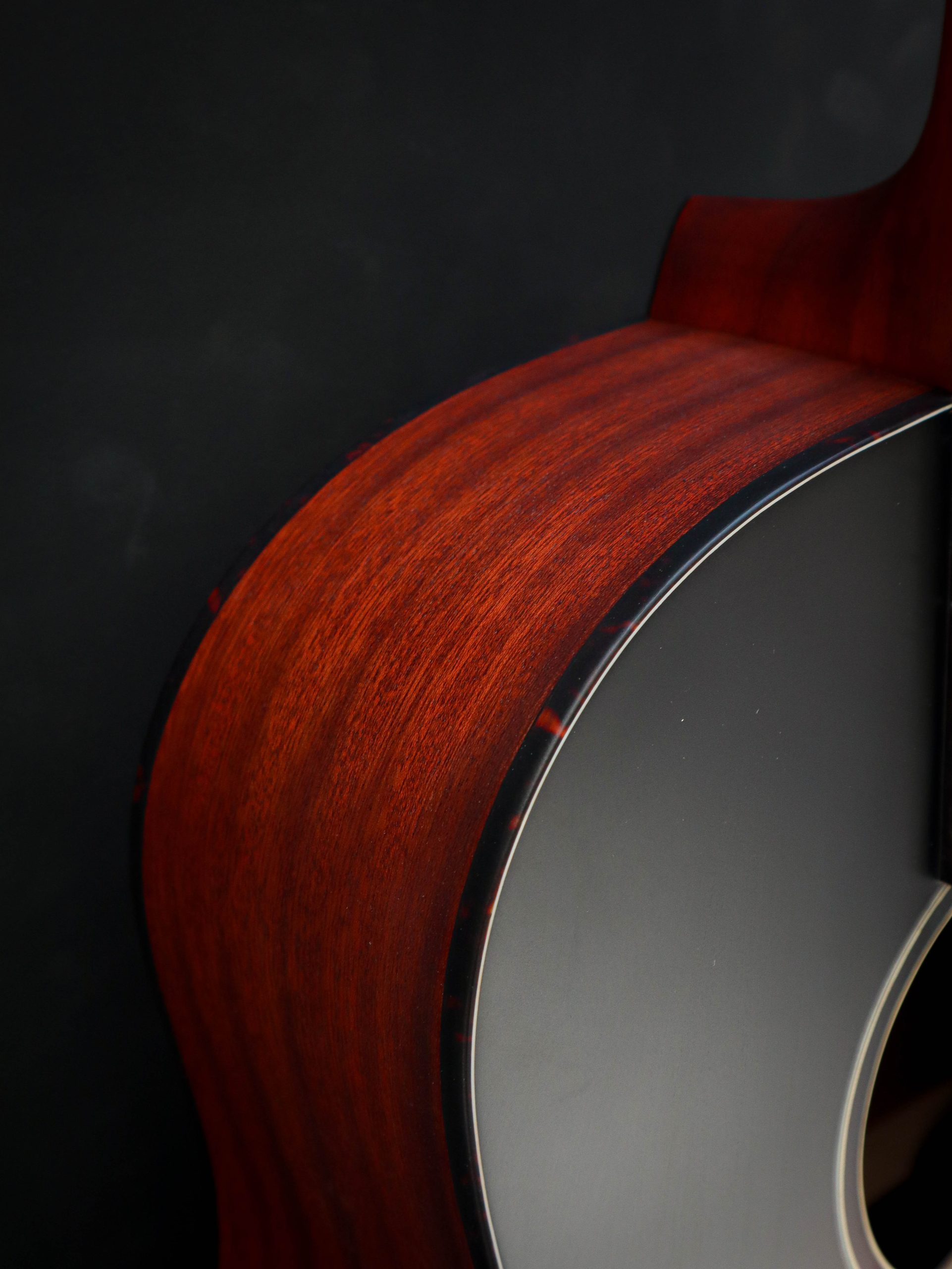 Eastman E1SS – Bild 5