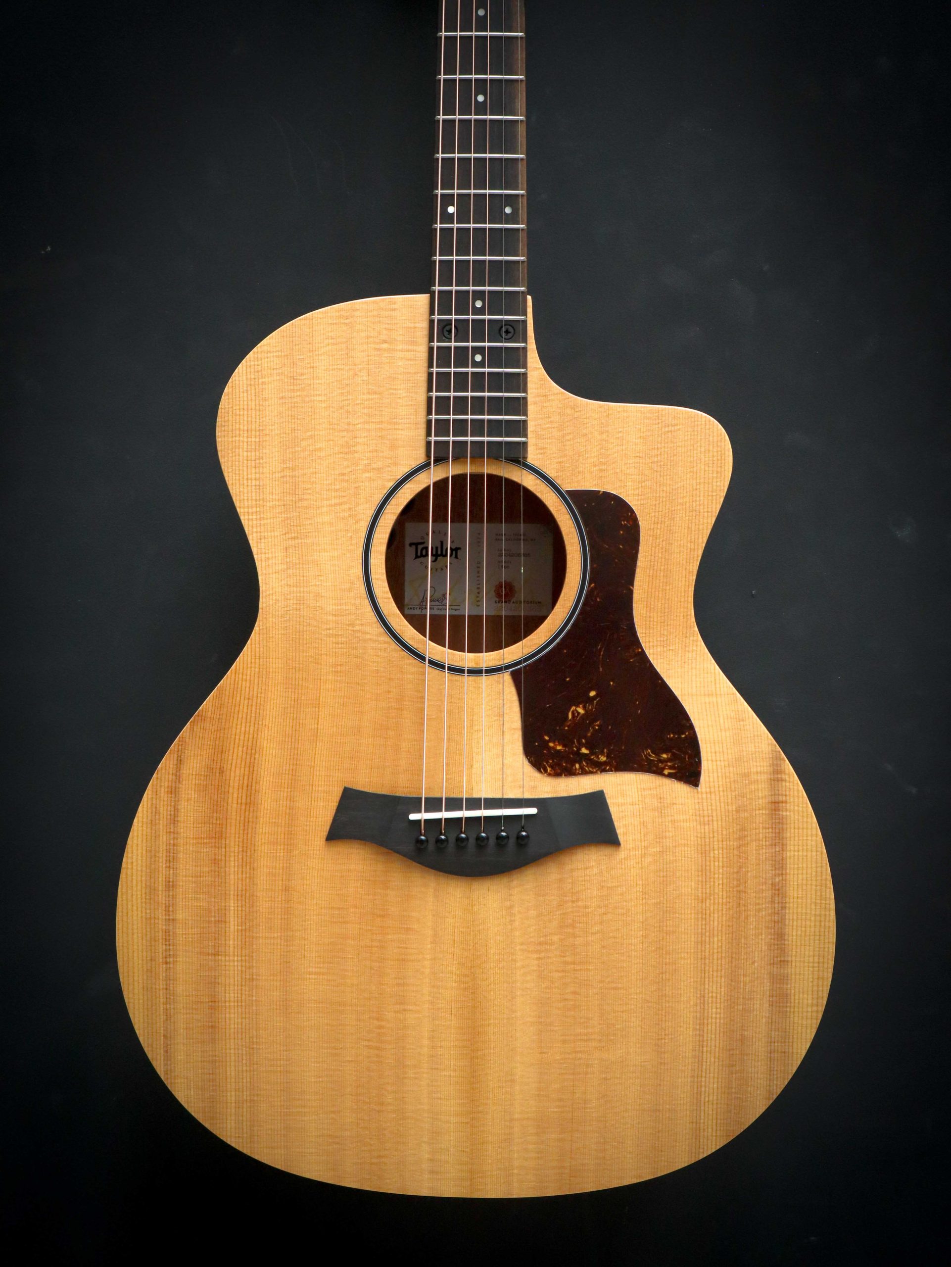 Taylor 14ce – Bild 3