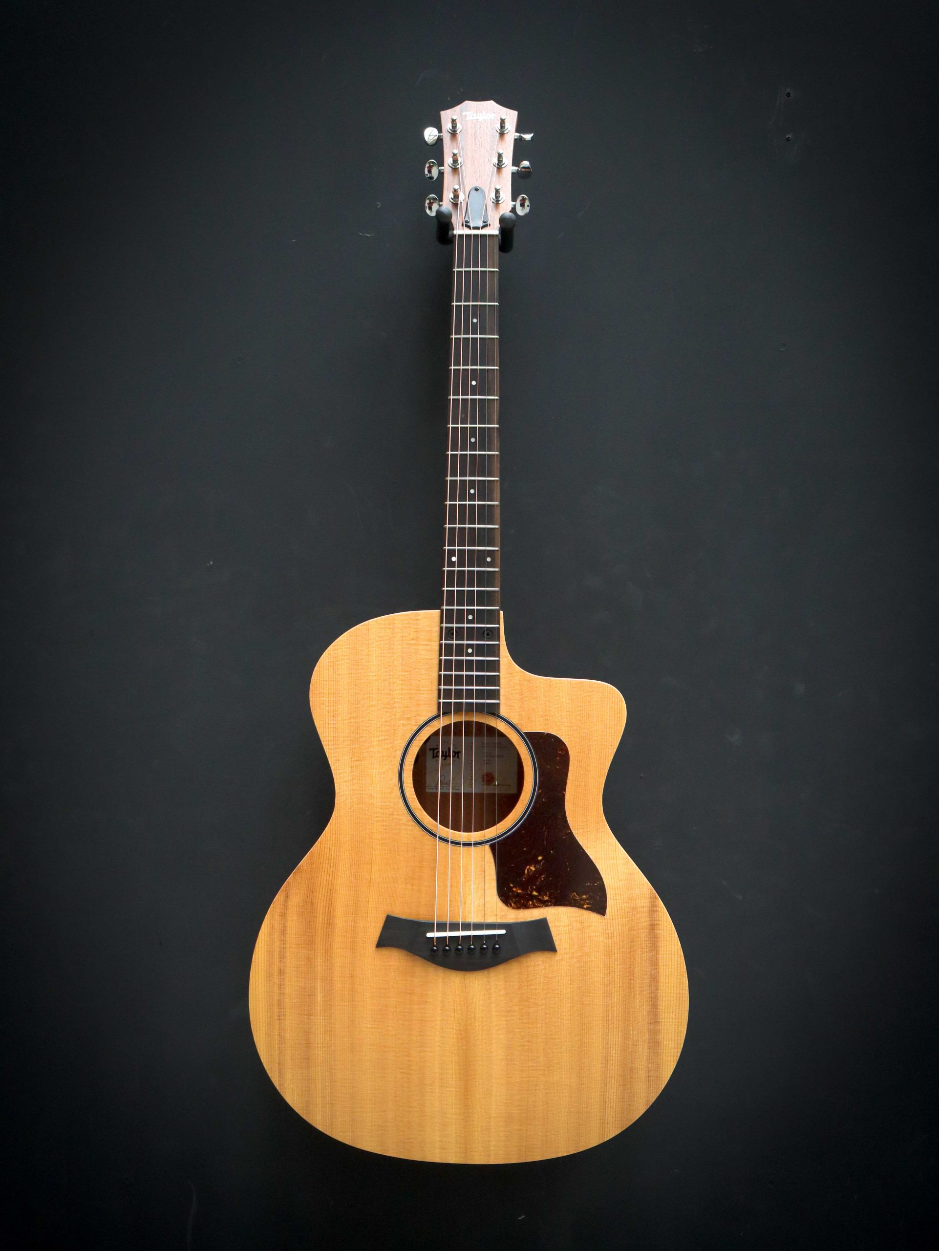 Taylor 14ce – Bild 2