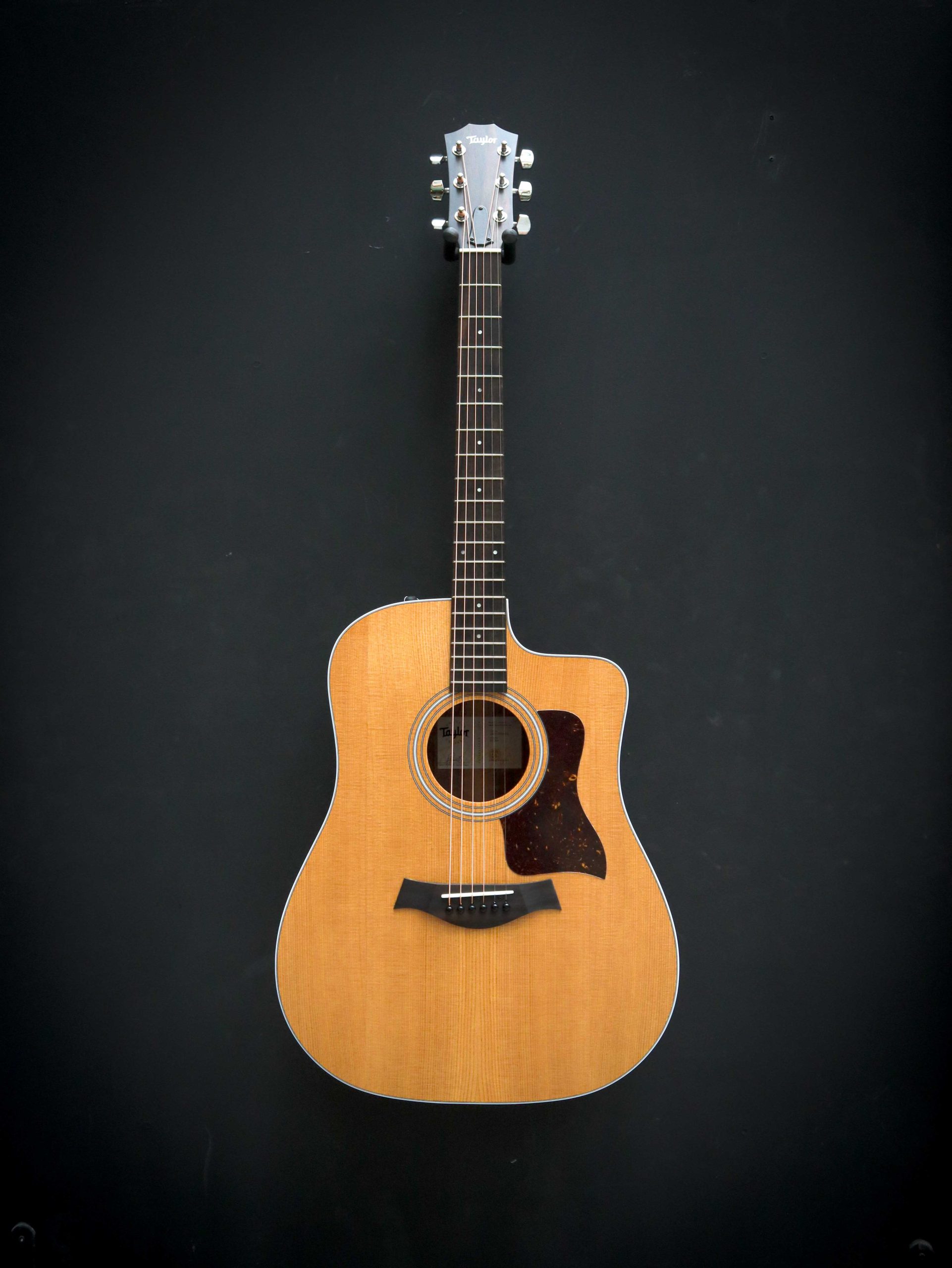 Taylor 210ce – Bild 2