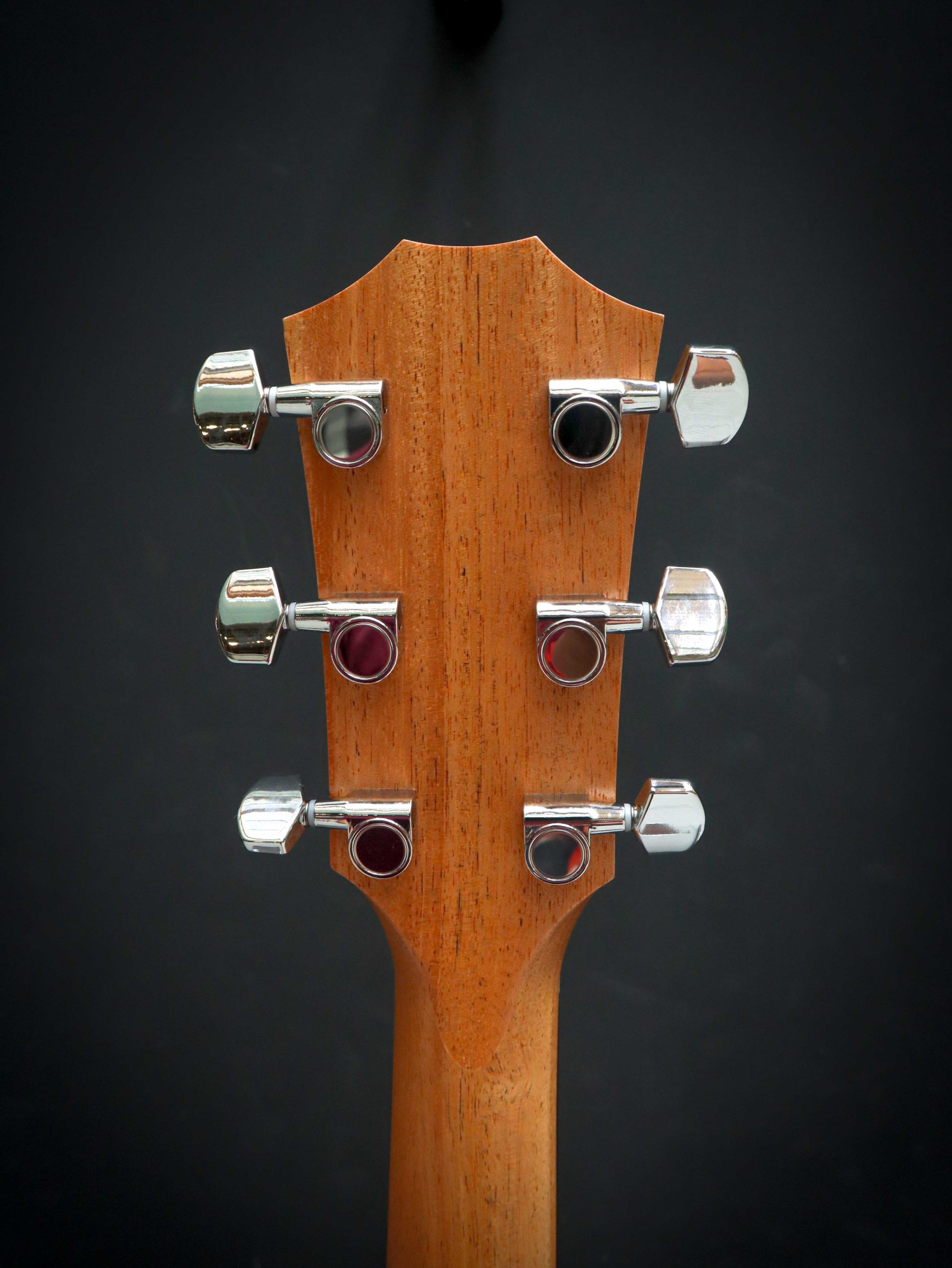Taylor 210ce – Bild 10
