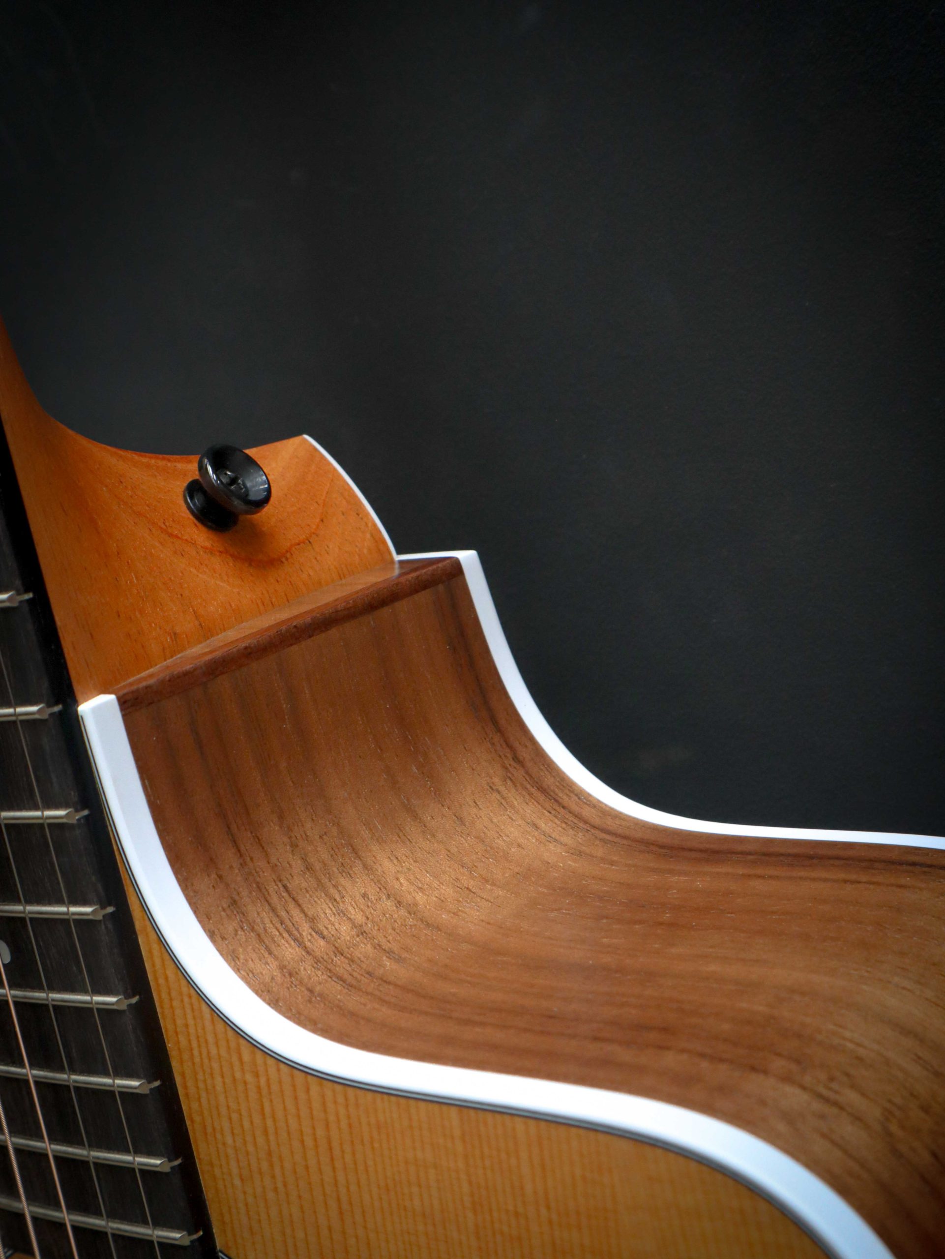 Taylor 210ce – Bild 8