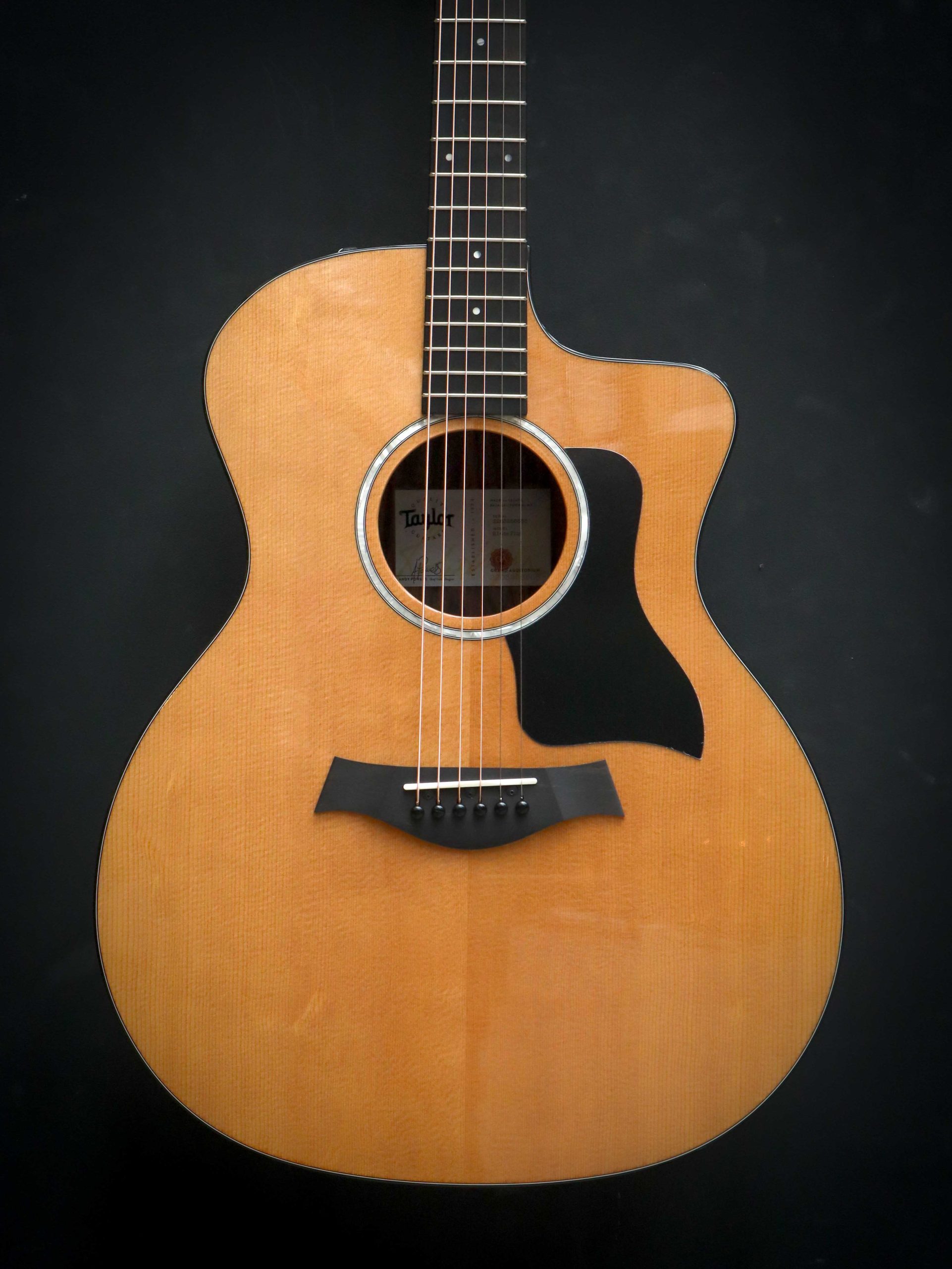 Taylor 214ce Plus – Bild 3