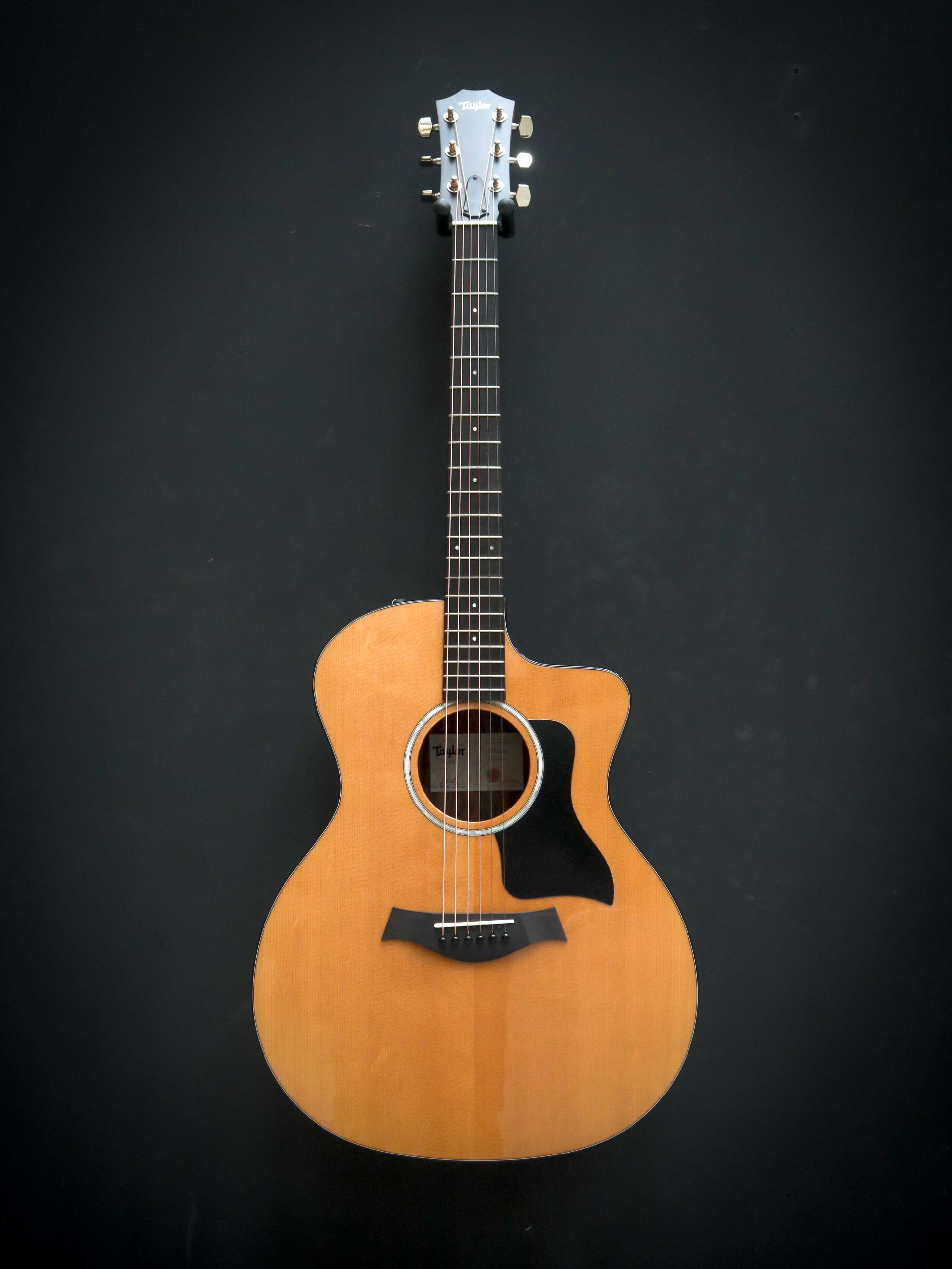 Taylor 214ce Plus – Bild 2