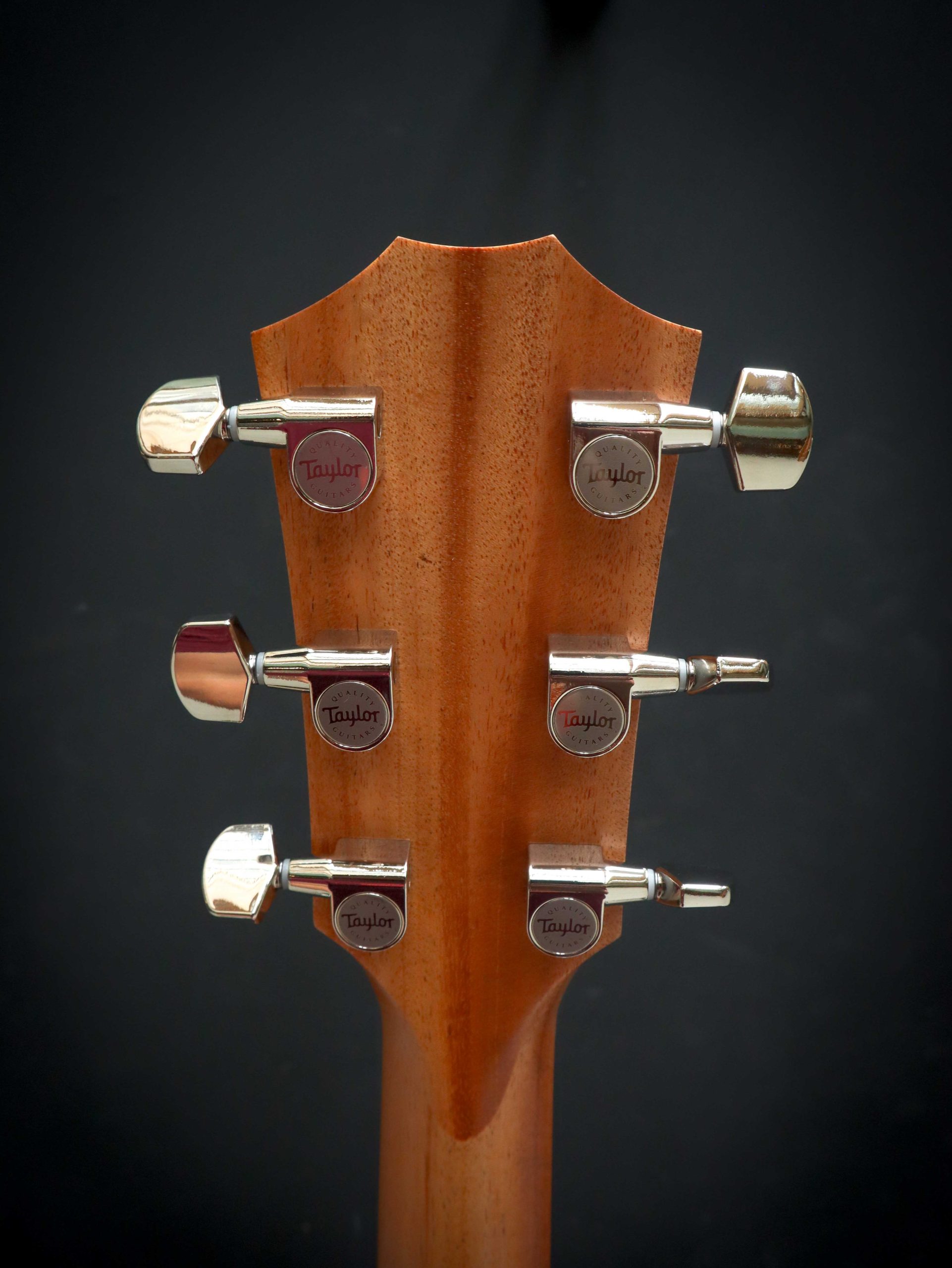 Taylor 214ce Plus – Bild 10