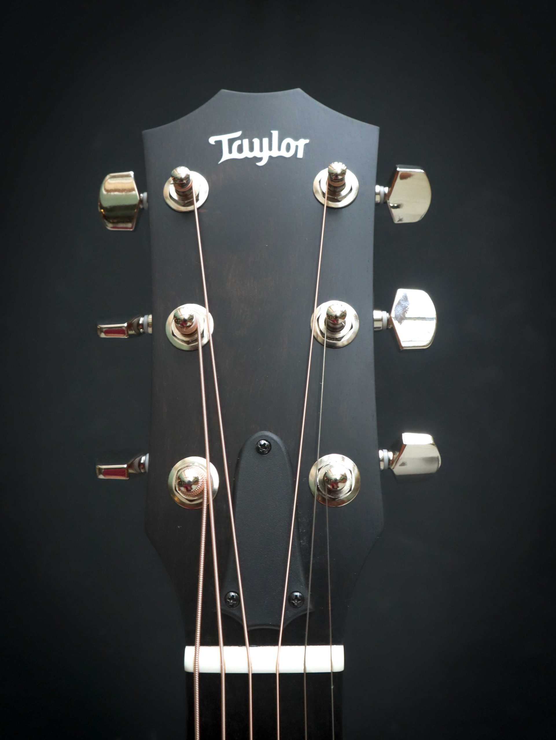 Taylor 214ce Plus – Bild 9