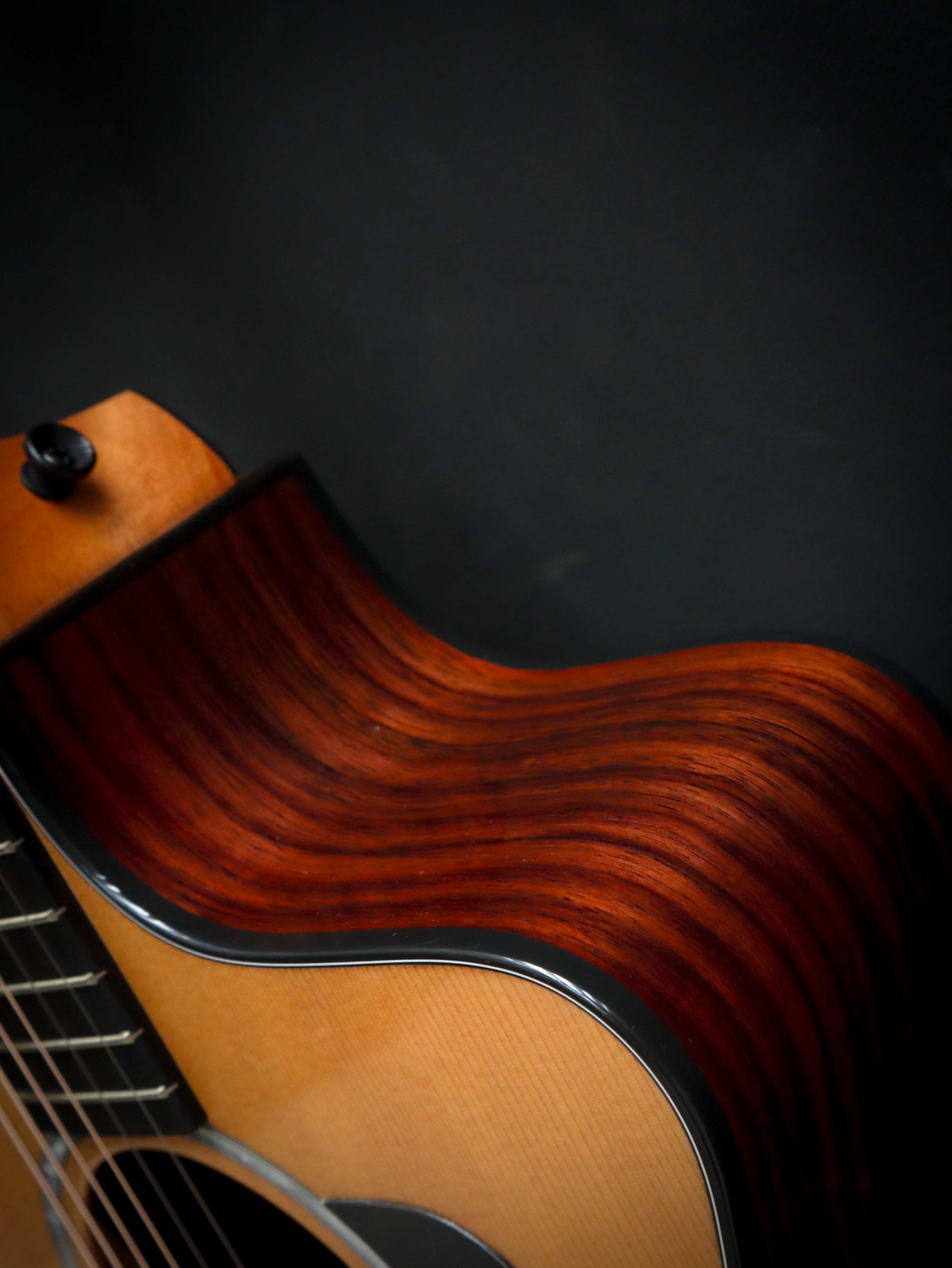 Taylor 214ce Plus – Bild 8