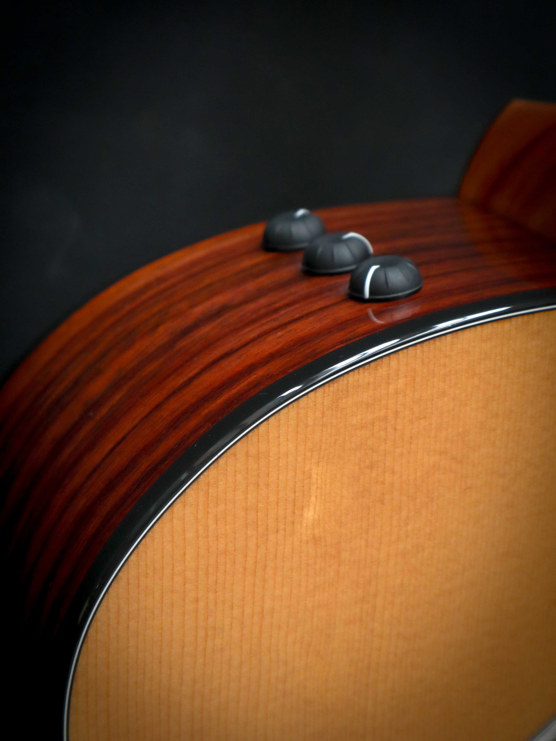 Taylor 214ce Plus – Bild 5
