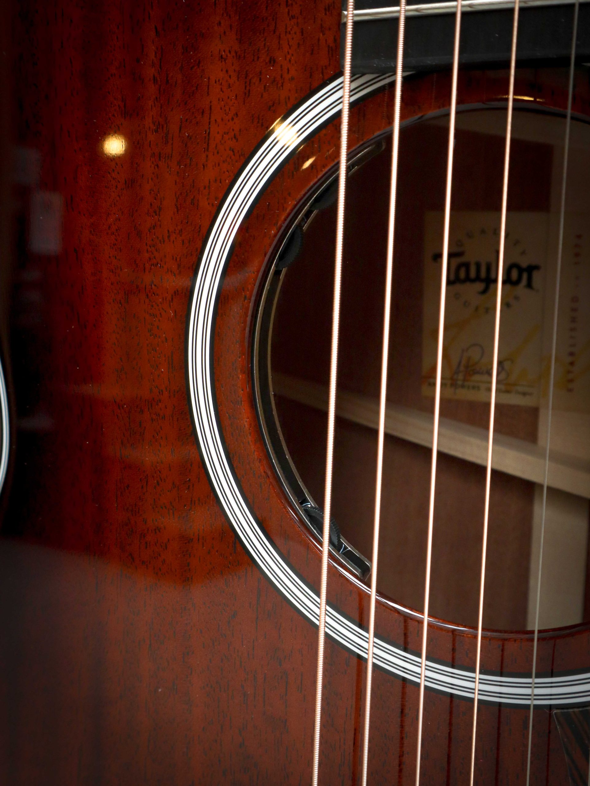 Taylor 324ce Next Generation – Bild 8