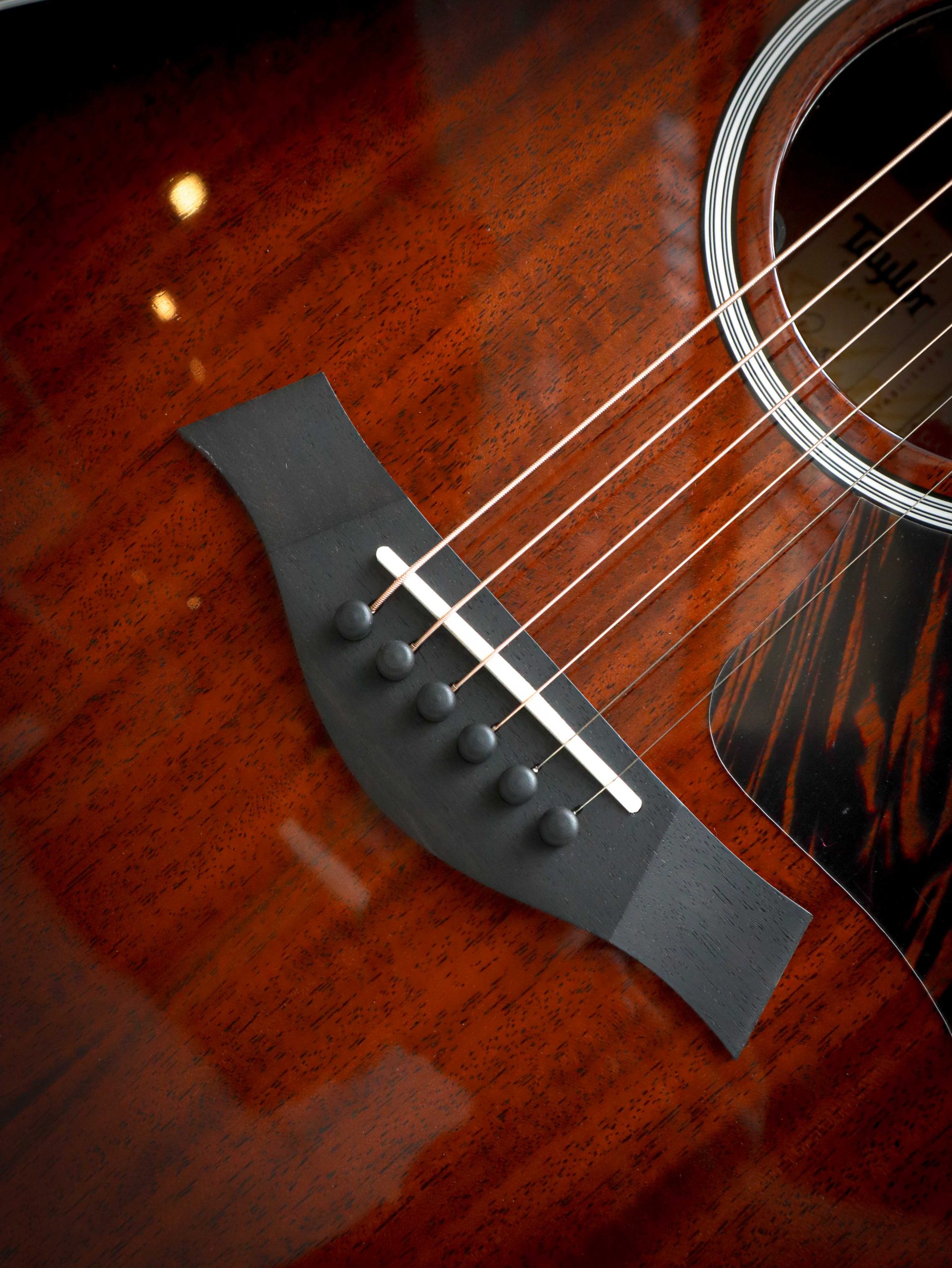 Taylor 324ce Next Generation – Bild 7