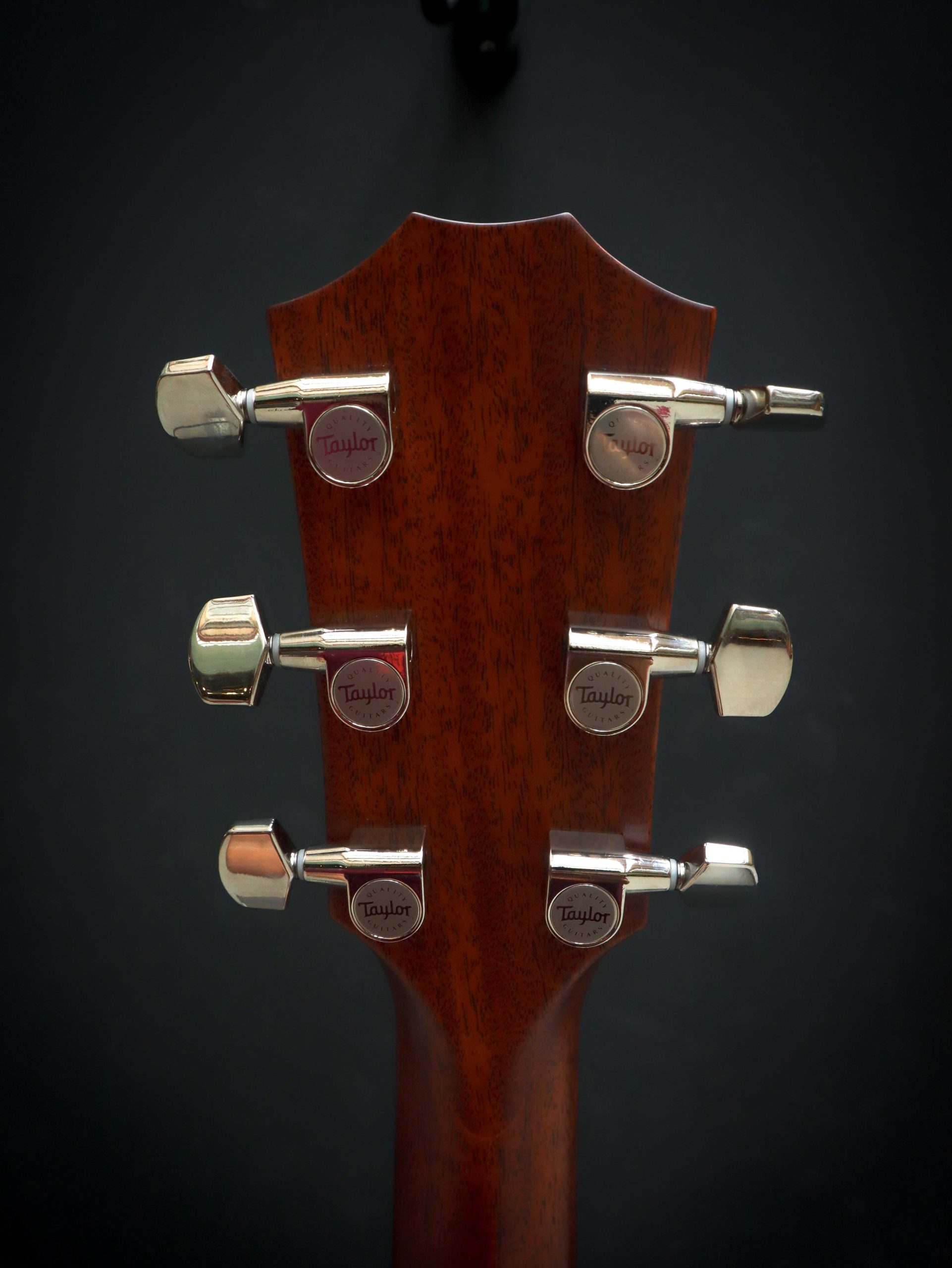 Taylor 414ce Next Generation – Bild 11
