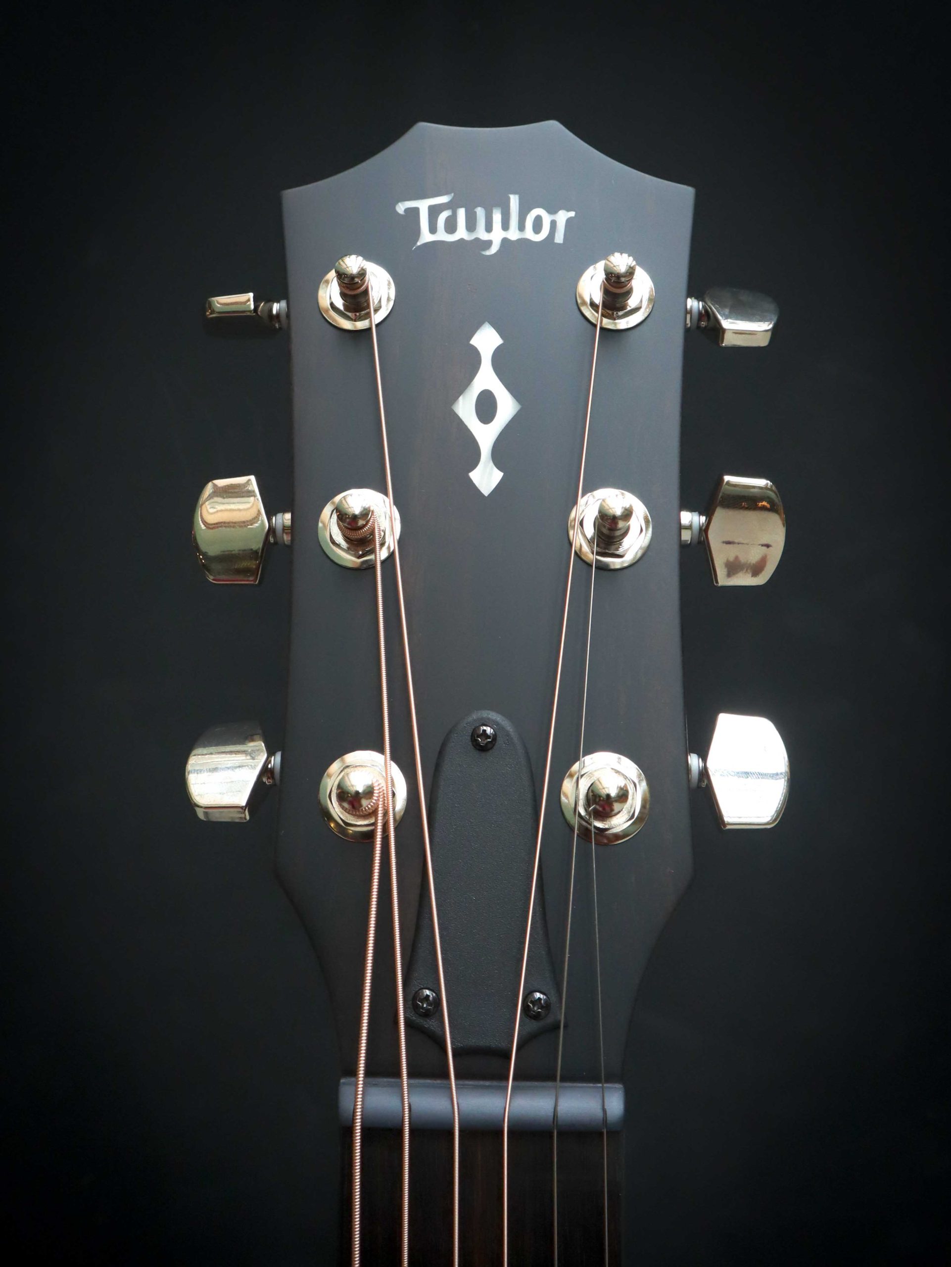 Taylor 414ce Next Generation – Bild 10