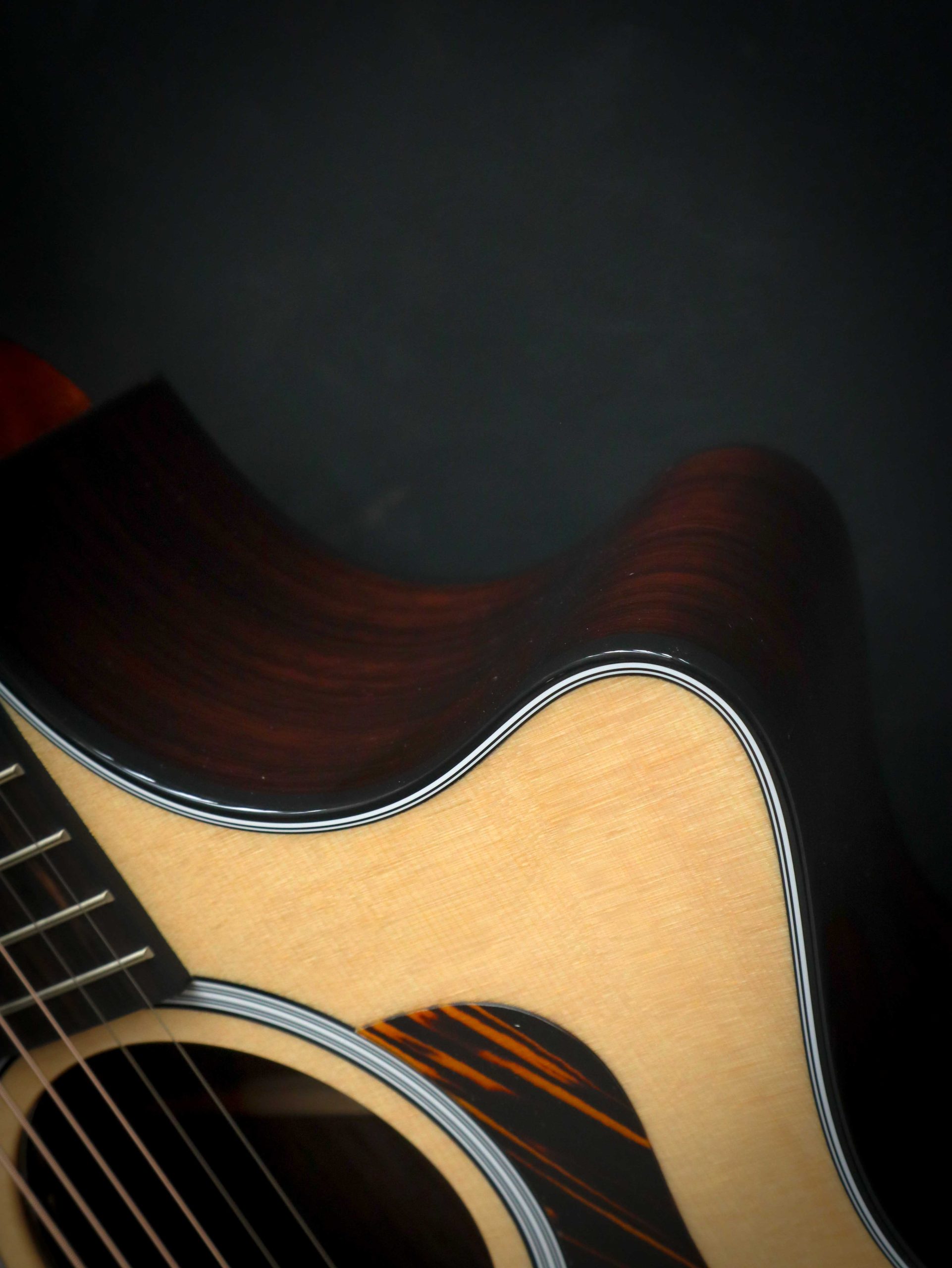 Taylor 414ce Next Generation – Bild 9