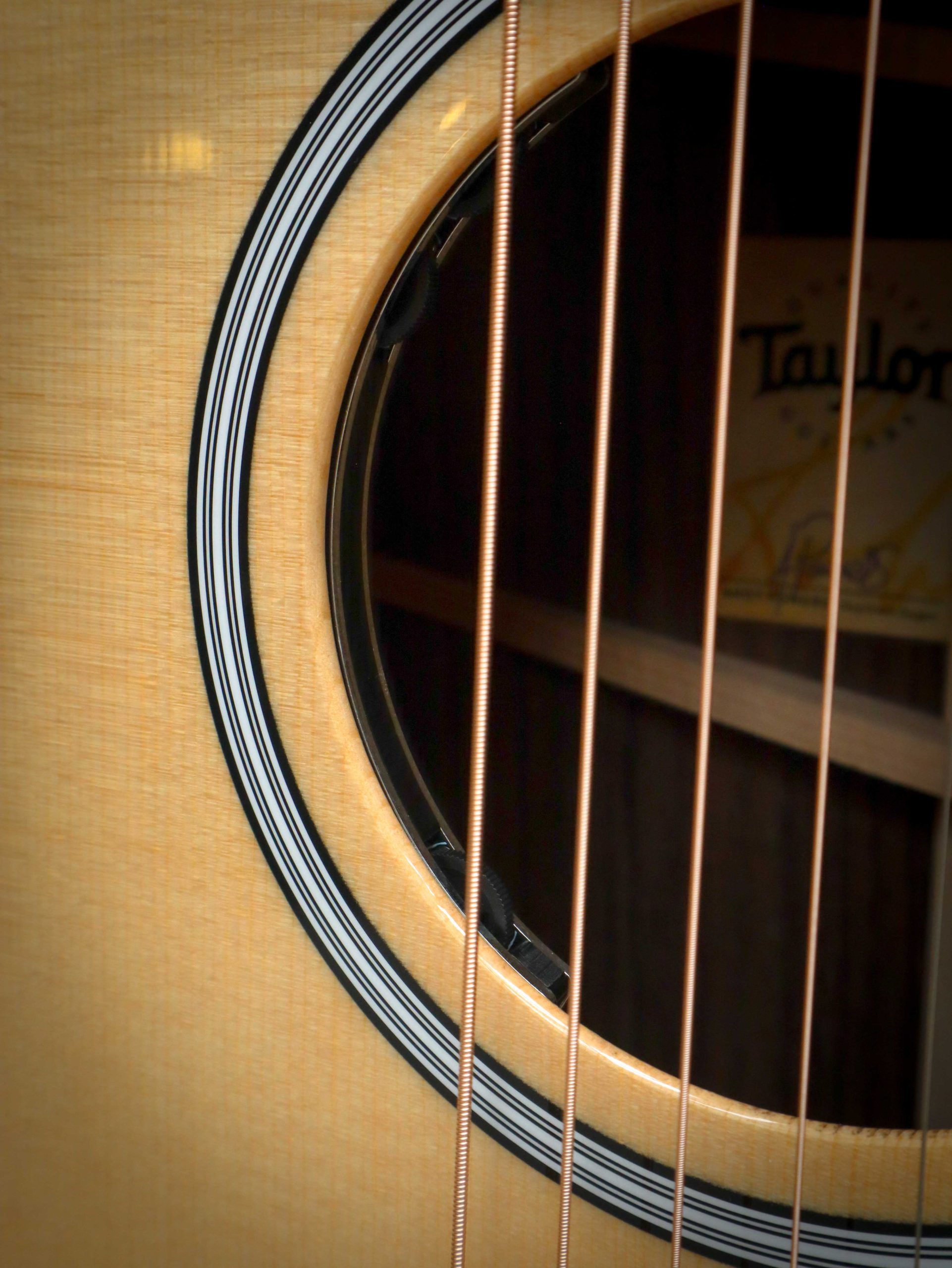Taylor 414ce Next Generation – Bild 7