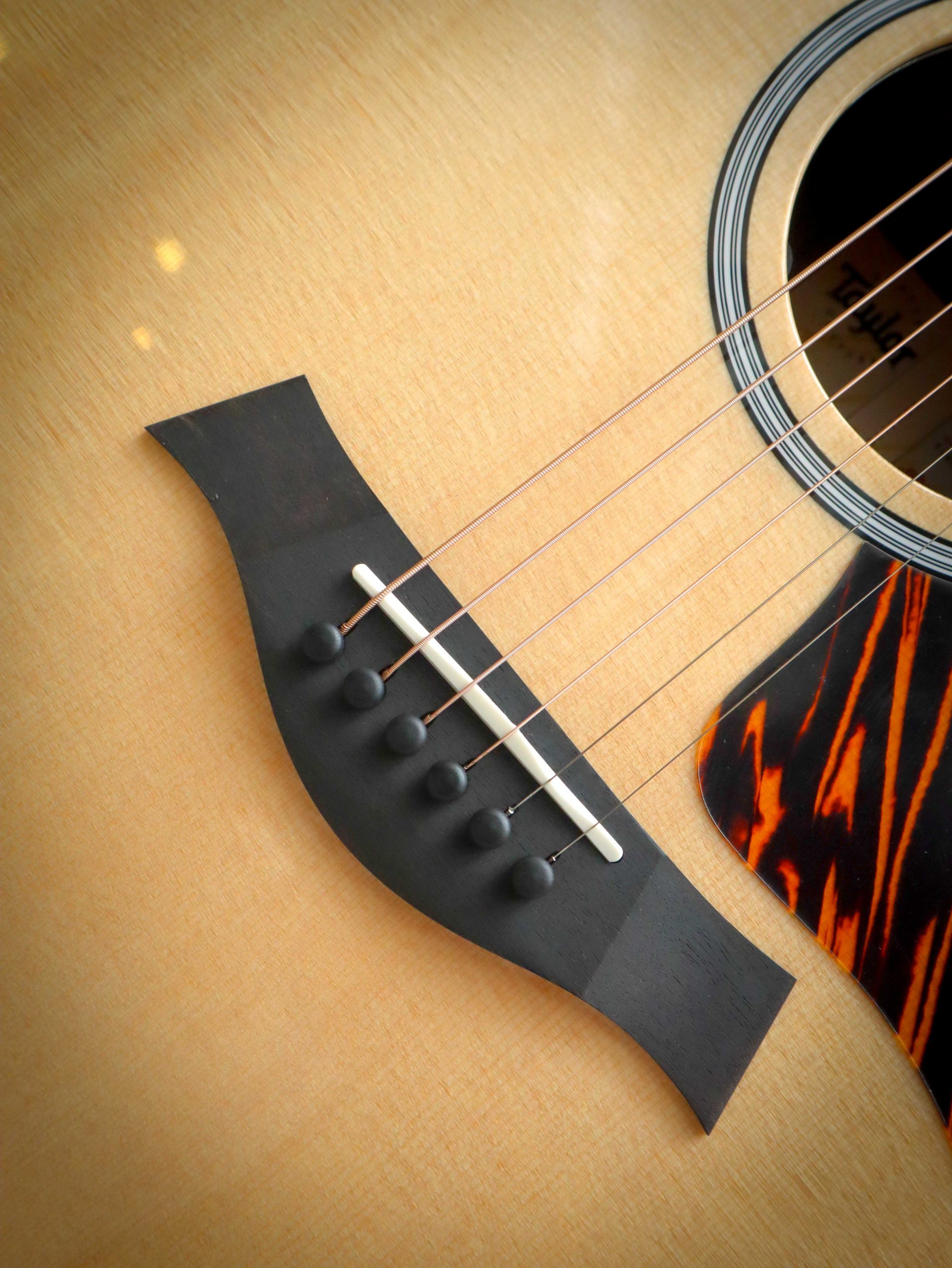 Taylor 414ce Next Generation – Bild 6
