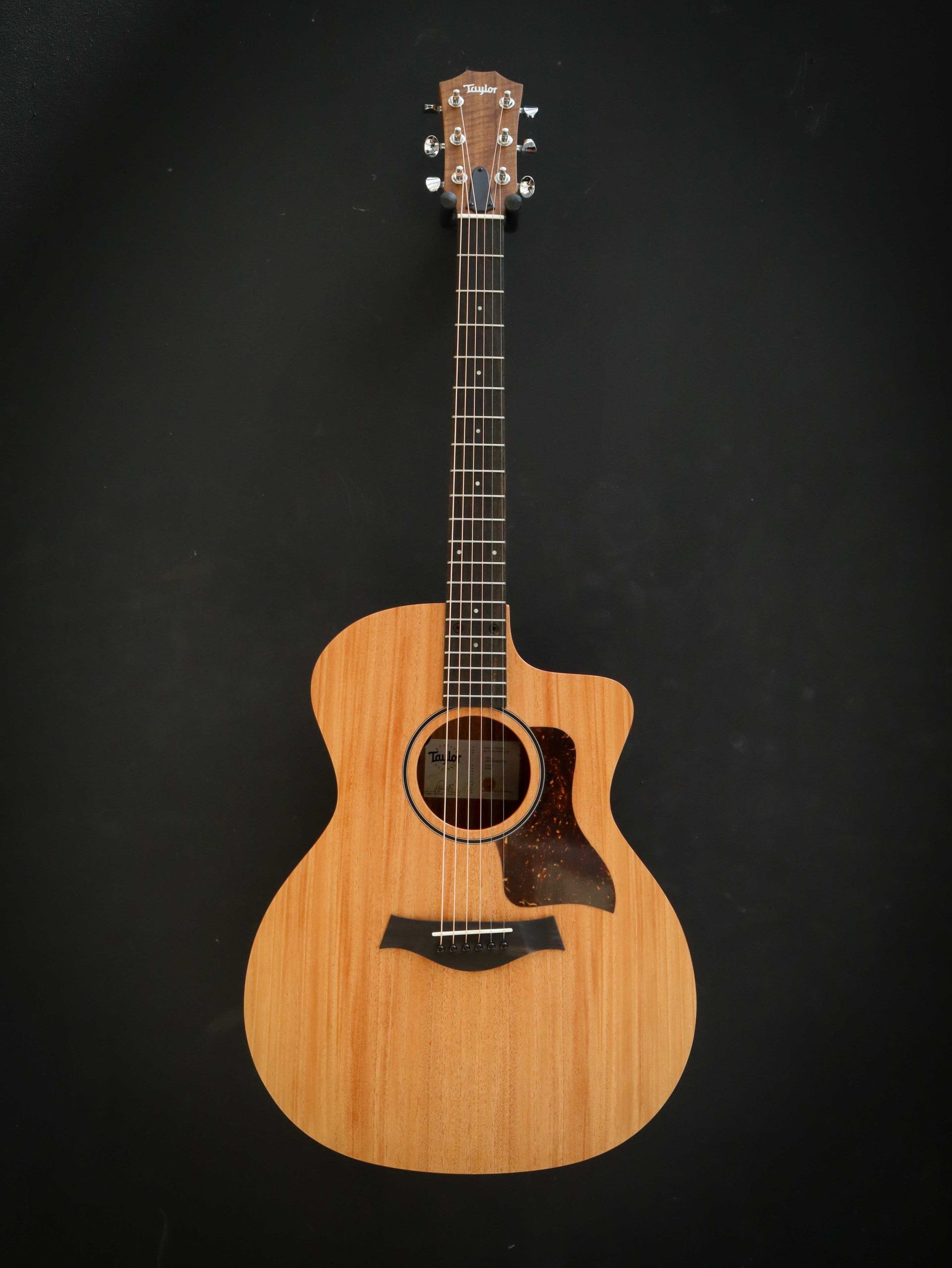 Taylor 24ce – Bild 2